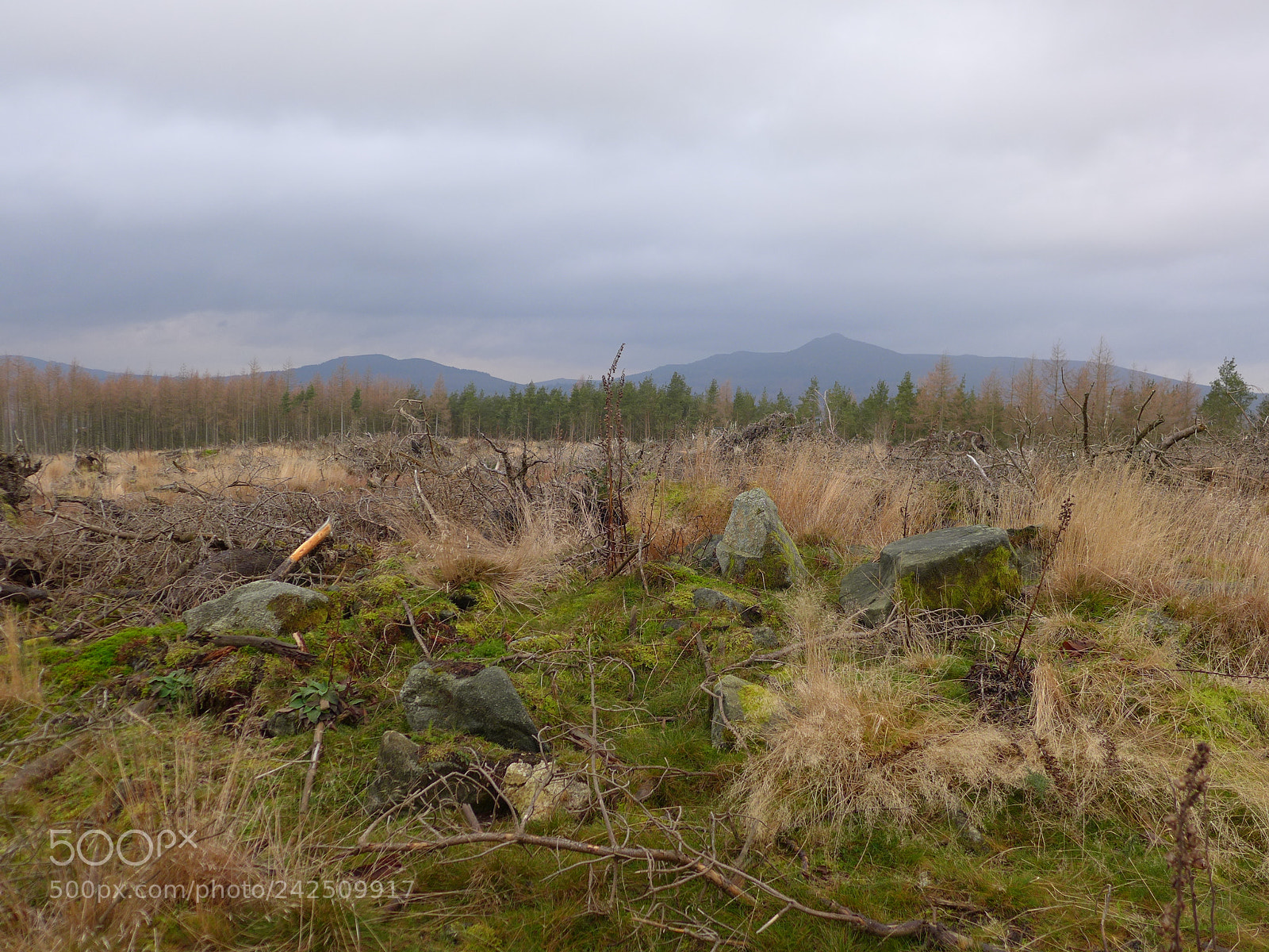 Panasonic Lumix DMC-LX7 sample photo. Cairn (?) on knockinlews photography