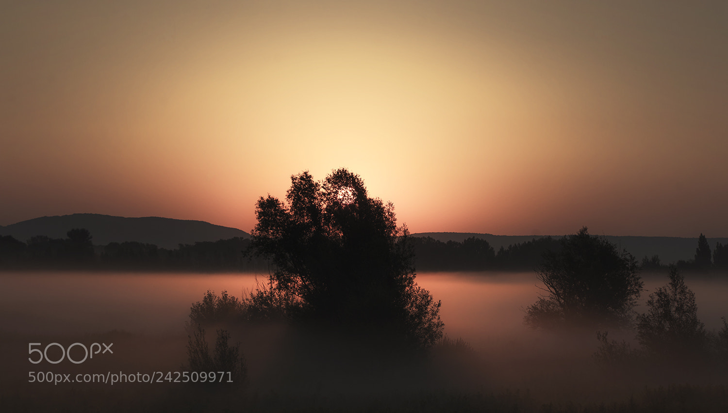 Sony Alpha DSLR-A900 sample photo. Dawn photography