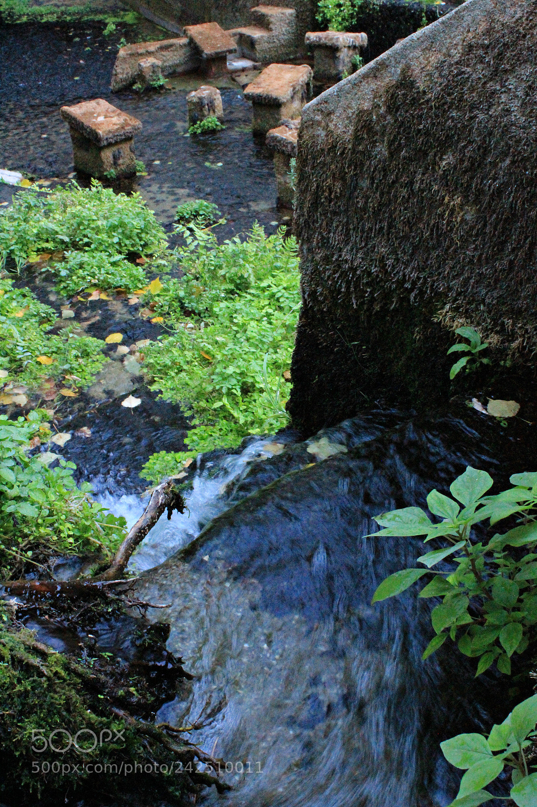 Canon EOS 1300D (EOS Rebel T6 / EOS Kiss X80) sample photo. Almonda river photography