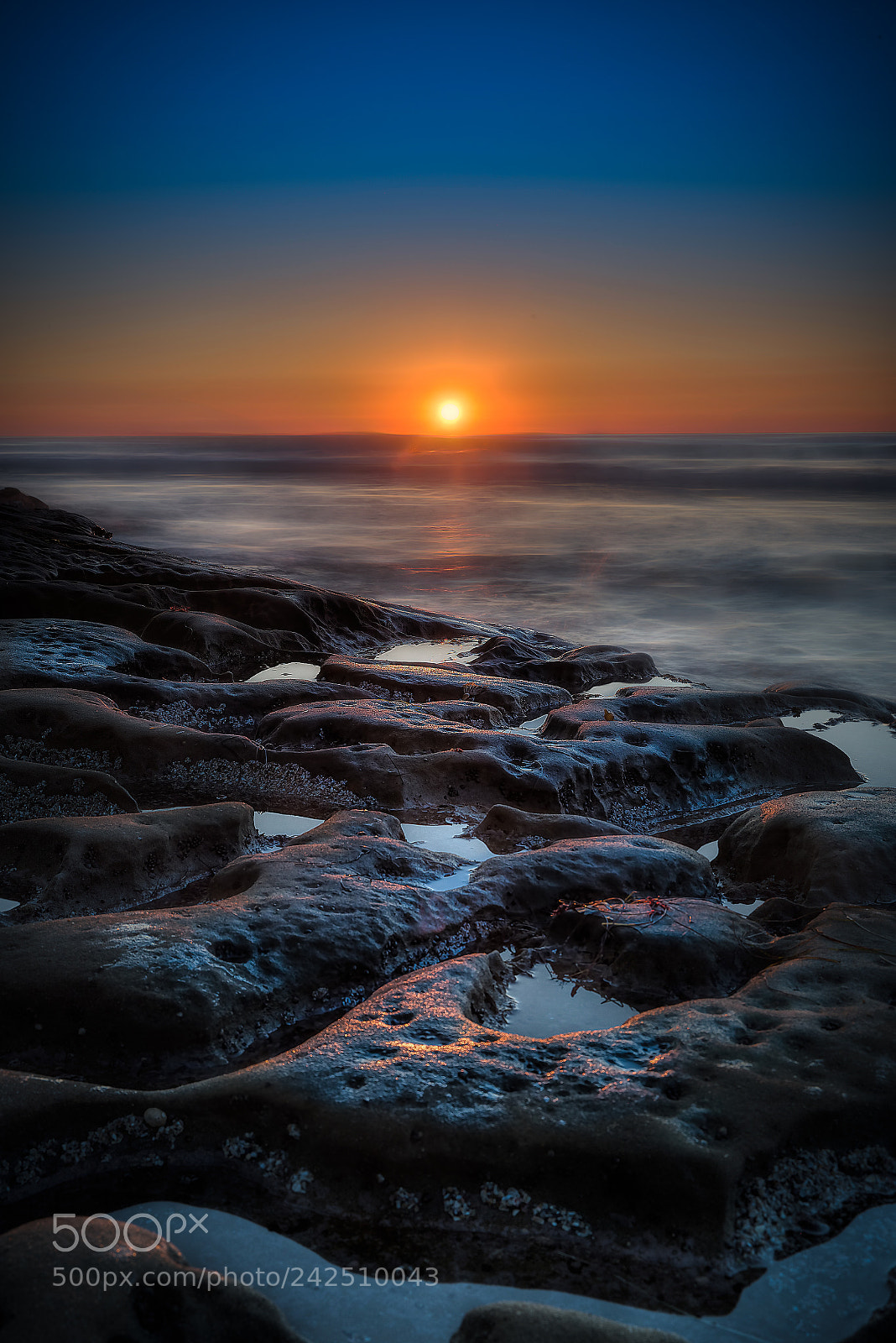 Canon EOS-1D X Mark II sample photo. La jolla tidal pools photography