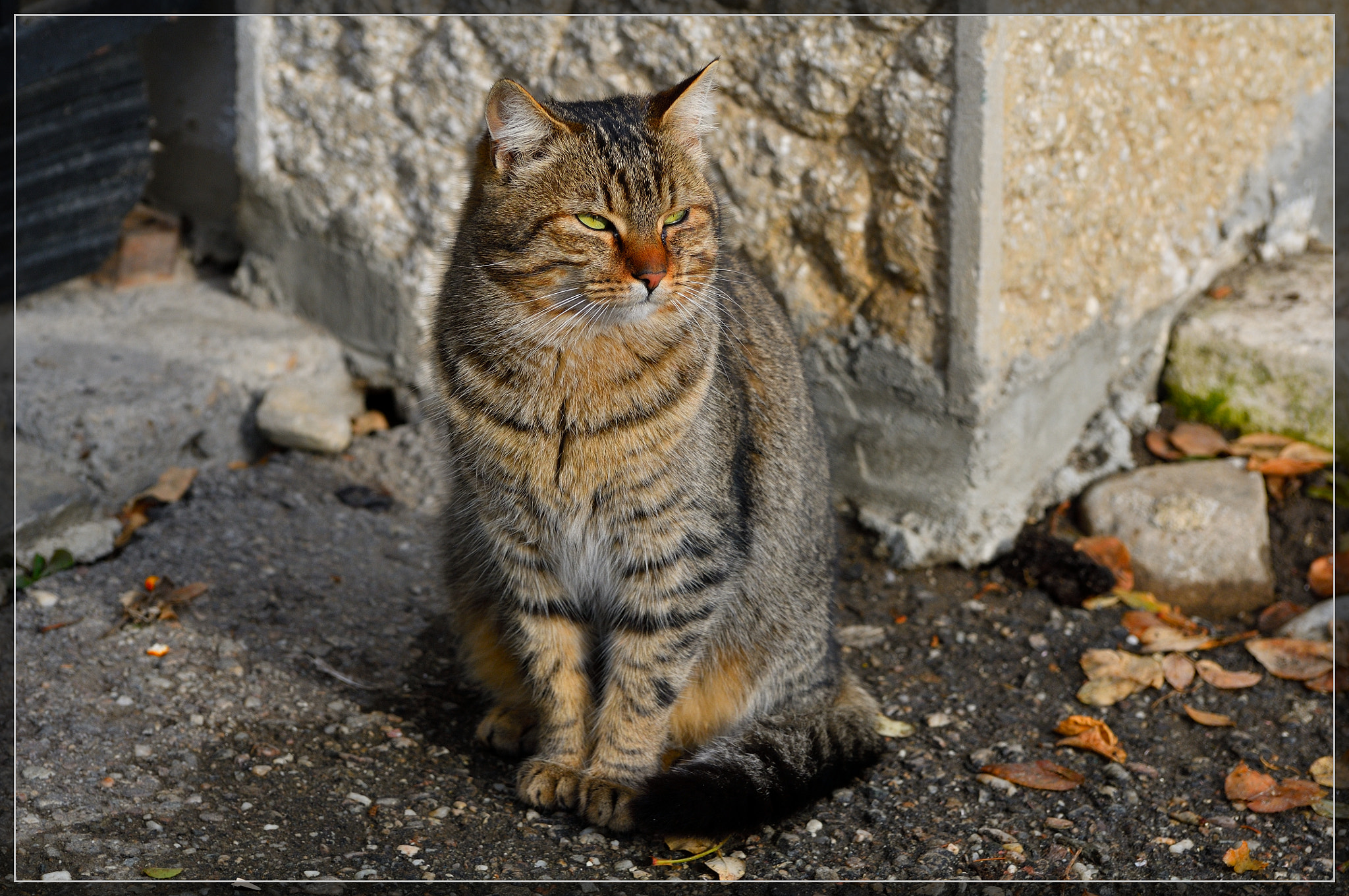 Nikon D300S sample photo. Mer photography