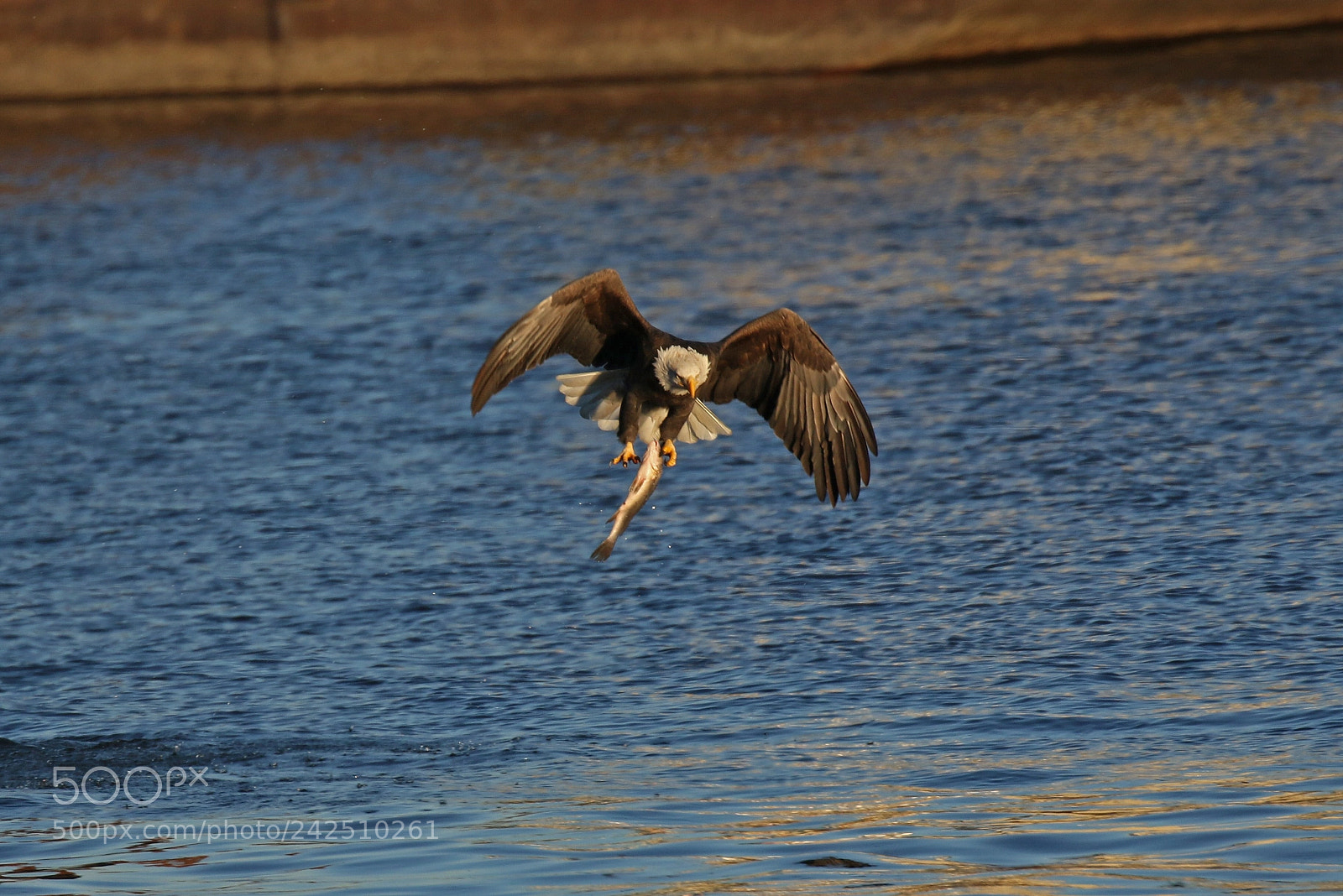 Canon EOS 7D Mark II sample photo. 0j6a4140.1.jpg photography