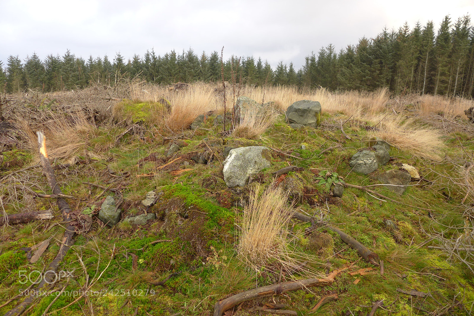 Panasonic Lumix DMC-LX7 sample photo. Cairn (?) on knockinlews photography