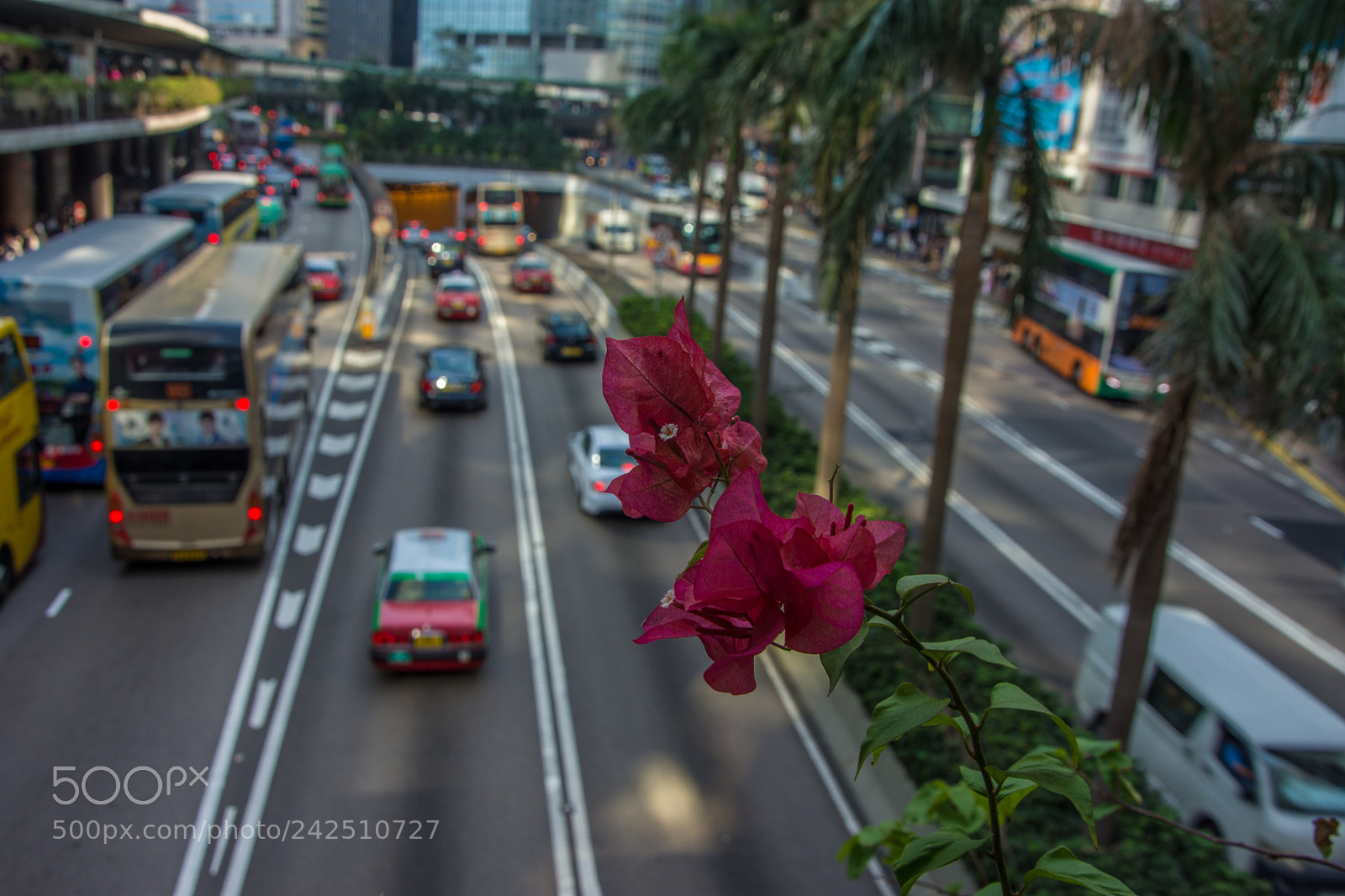 Nikon D7200 sample photo. Break in the traffic photography