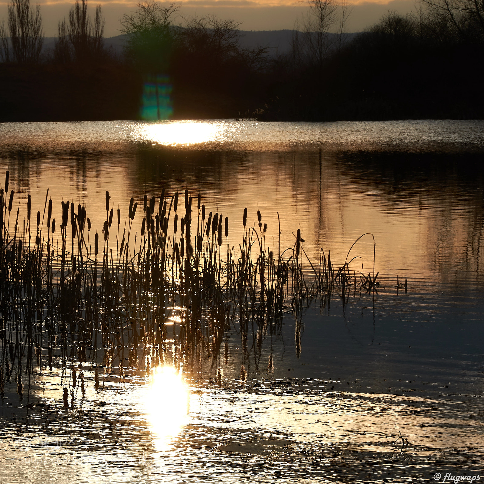 Sony a6500 sample photo. A sunday afternoon walk ... photography
