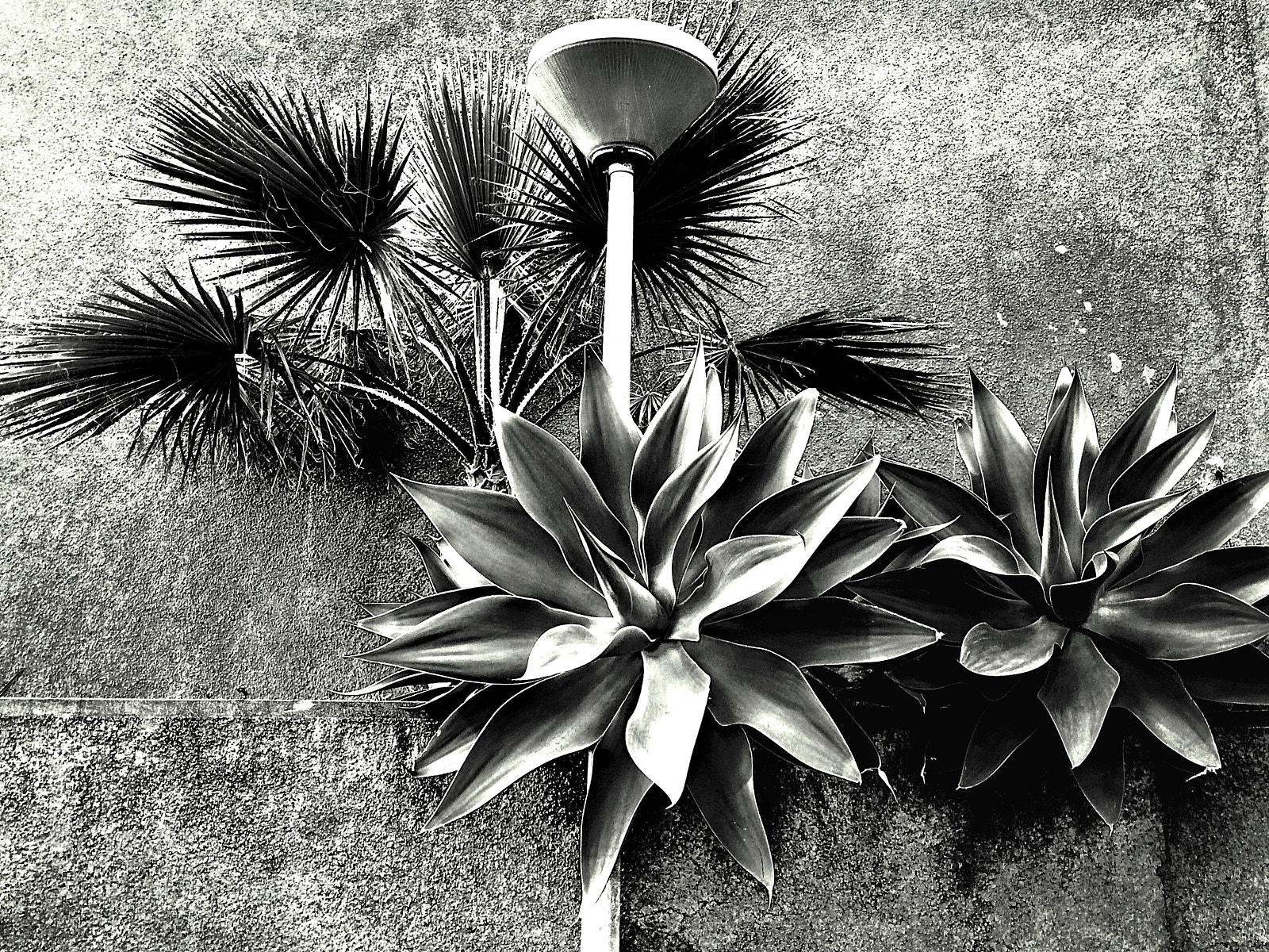 Apple iPhone 5s sample photo. Nature and city photography