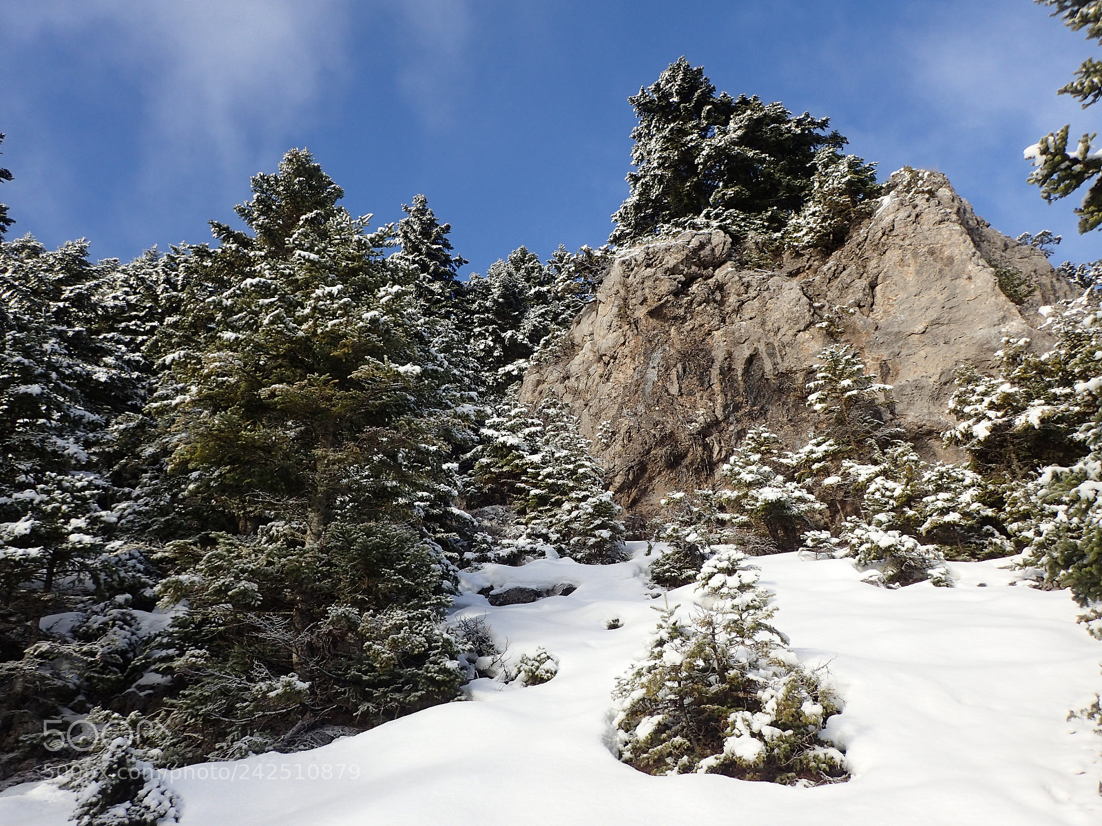 Olympus TG-4 sample photo. Rocky place photography