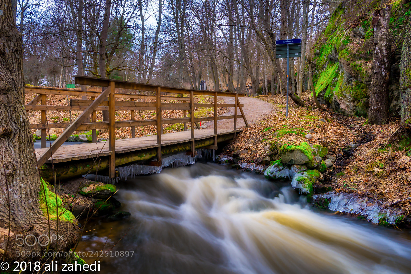 Nikon D810 sample photo. Nyfors photography