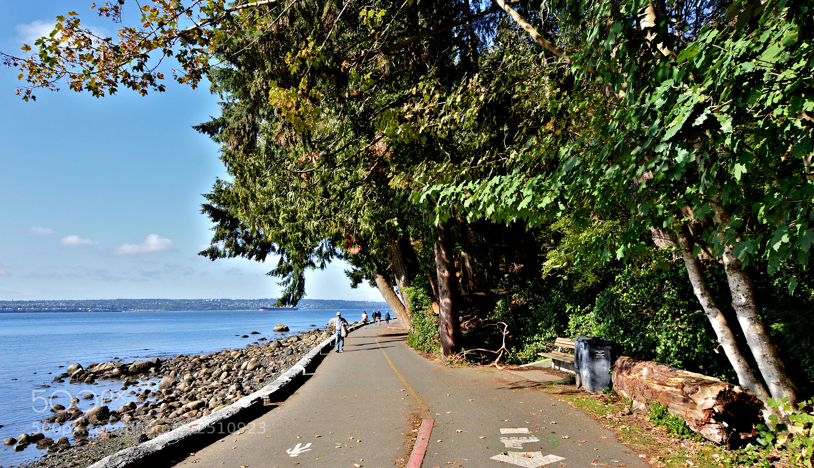 Nikon D3200 sample photo. Stanley park vancouver photography