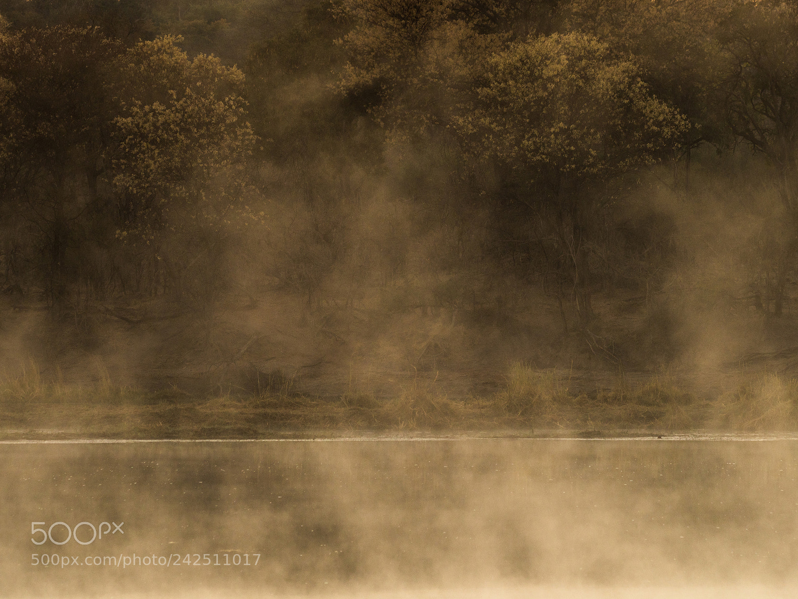 Olympus OM-D E-M1 Mark II sample photo. Okavango river, early morning photography