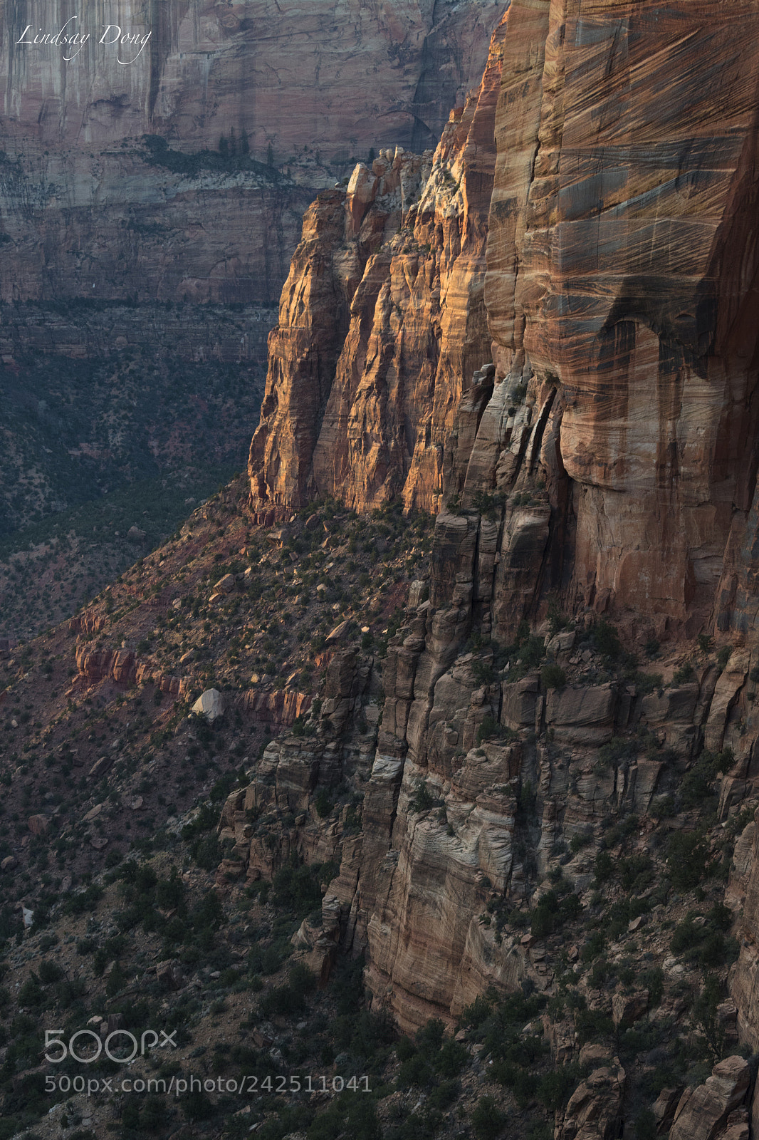 Nikon D3400 sample photo. Sunset at zion np photography