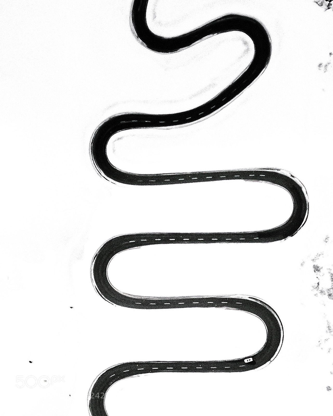 DJI FC220 sample photo. Snake photography