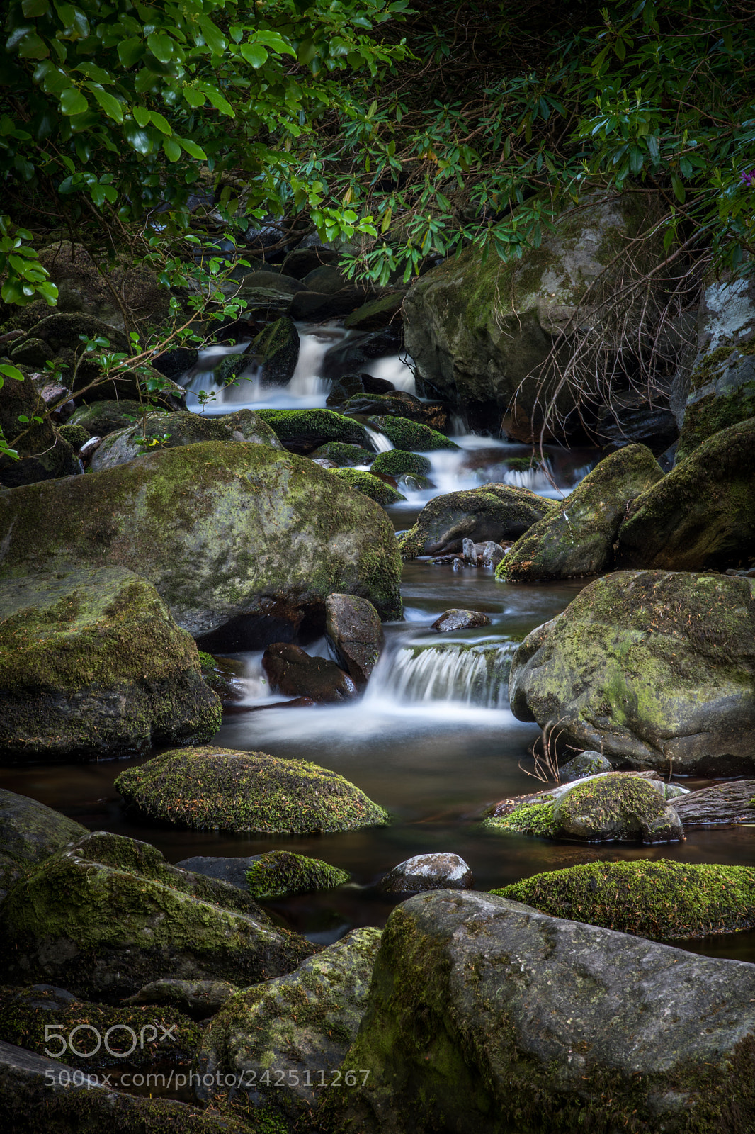 Nikon D5500 sample photo. Cascades in ireland photography
