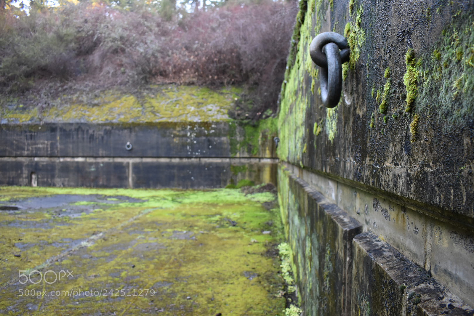 Nikon D3400 sample photo. Fort worden, wa photography