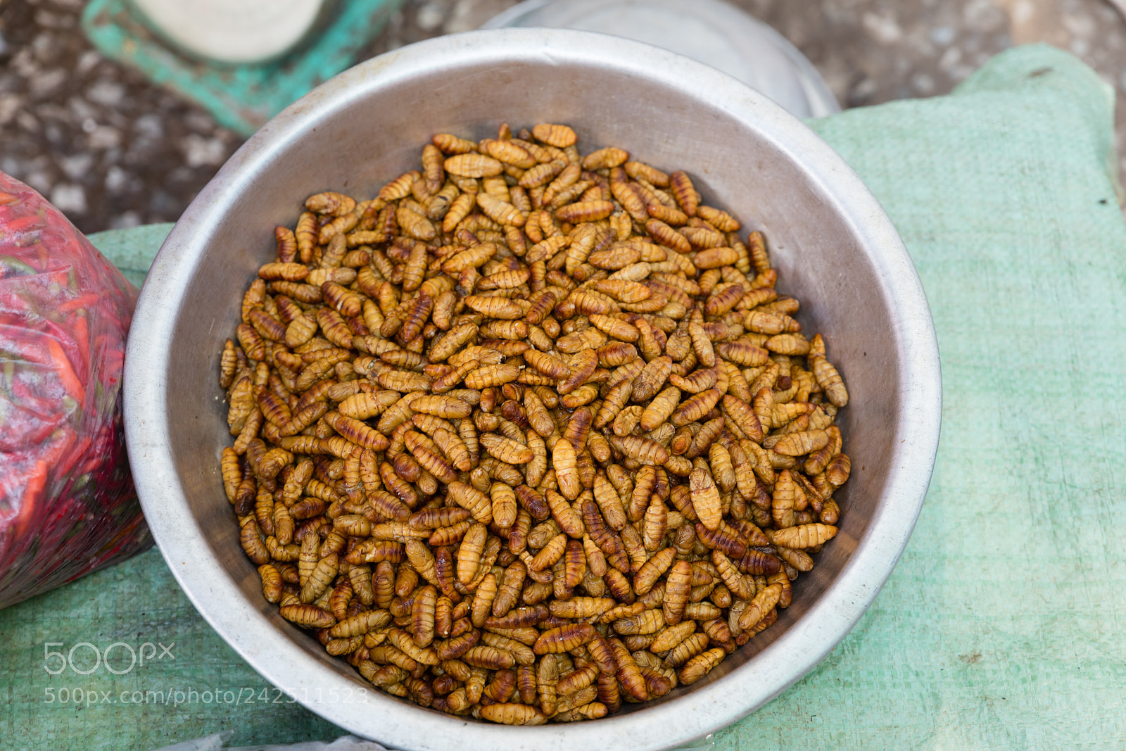 Canon EOS 5DS R sample photo. Wasp larvae at market photography
