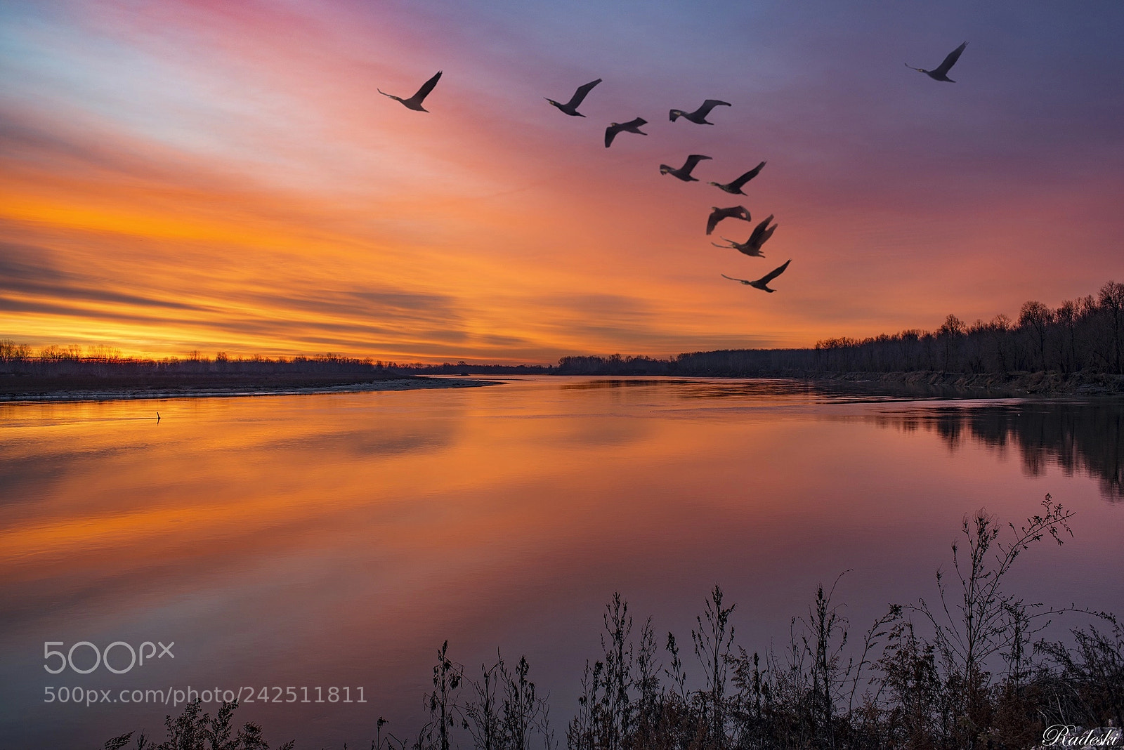 Nikon D800E sample photo. Alba sul fiume po photography