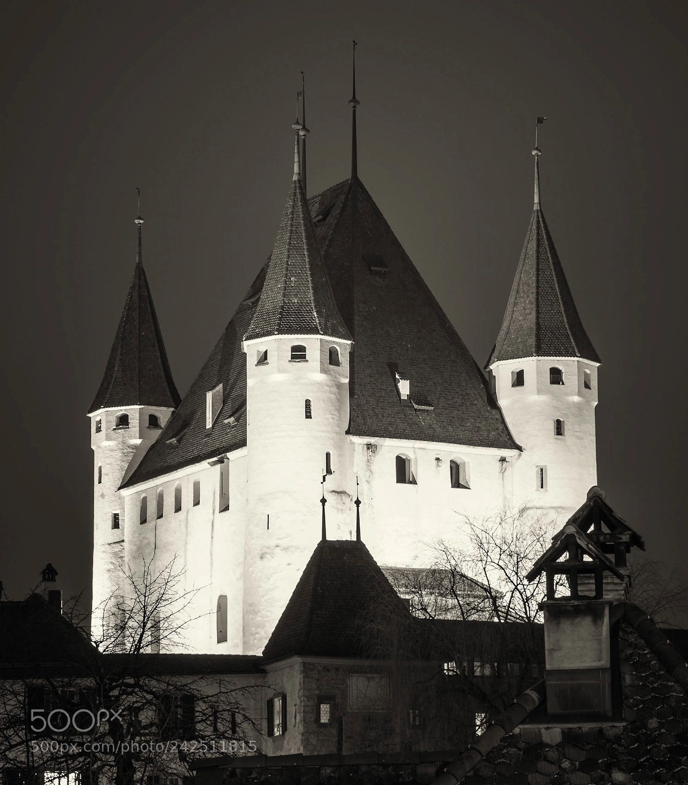 Pentax K-3 II sample photo. Schloss thun photography