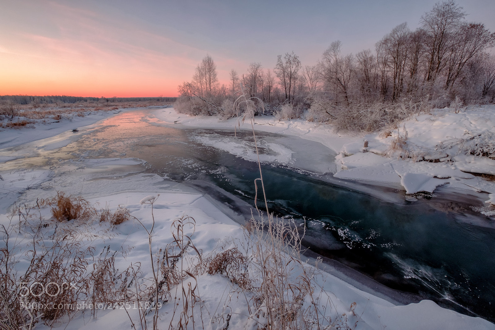 Fujifilm X-T20 sample photo. Frosty morning photography
