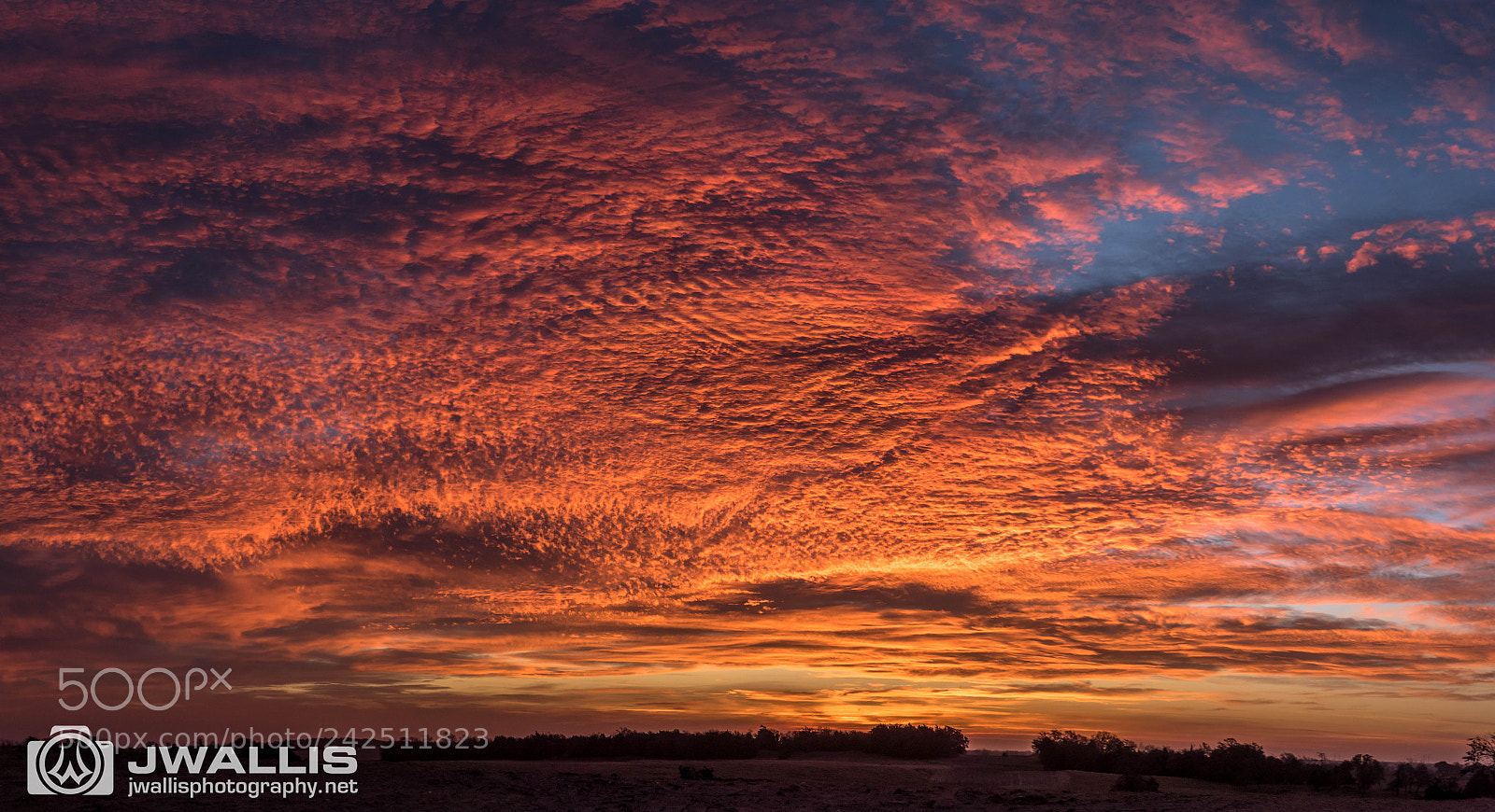 Nikon D5500 sample photo. Sunrise on the prairie photography