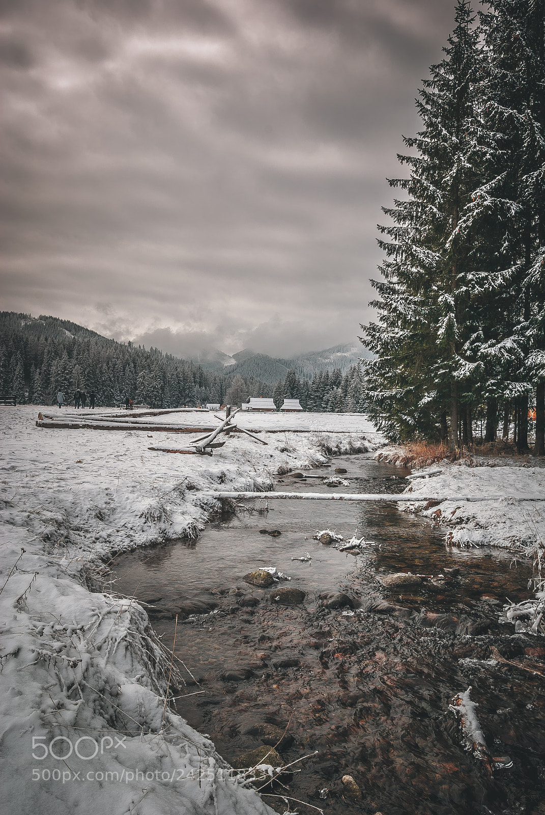 Nikon D60 sample photo. Moody mountains photography