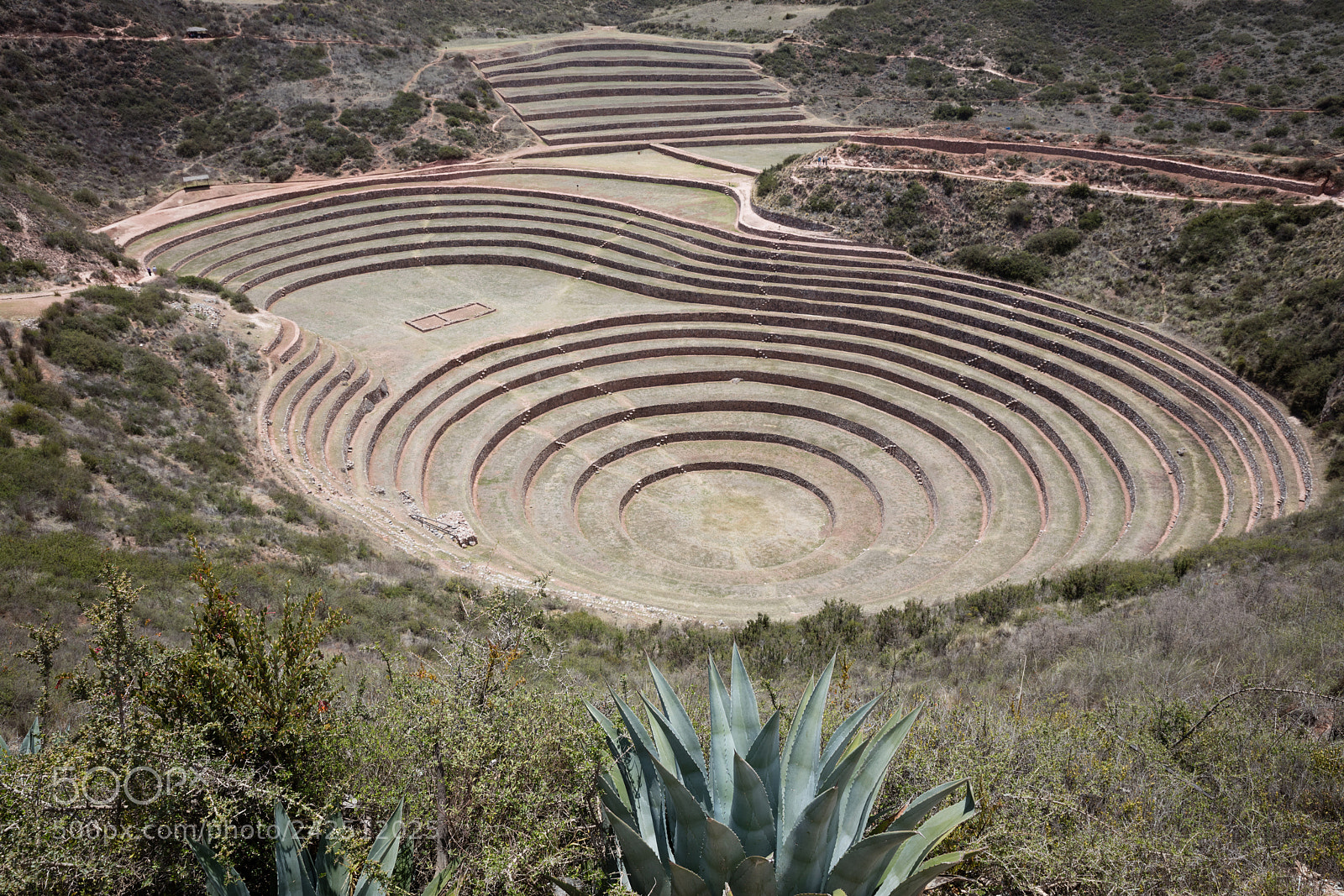 Canon EOS 5DS R sample photo. Circular terraces at moray photography