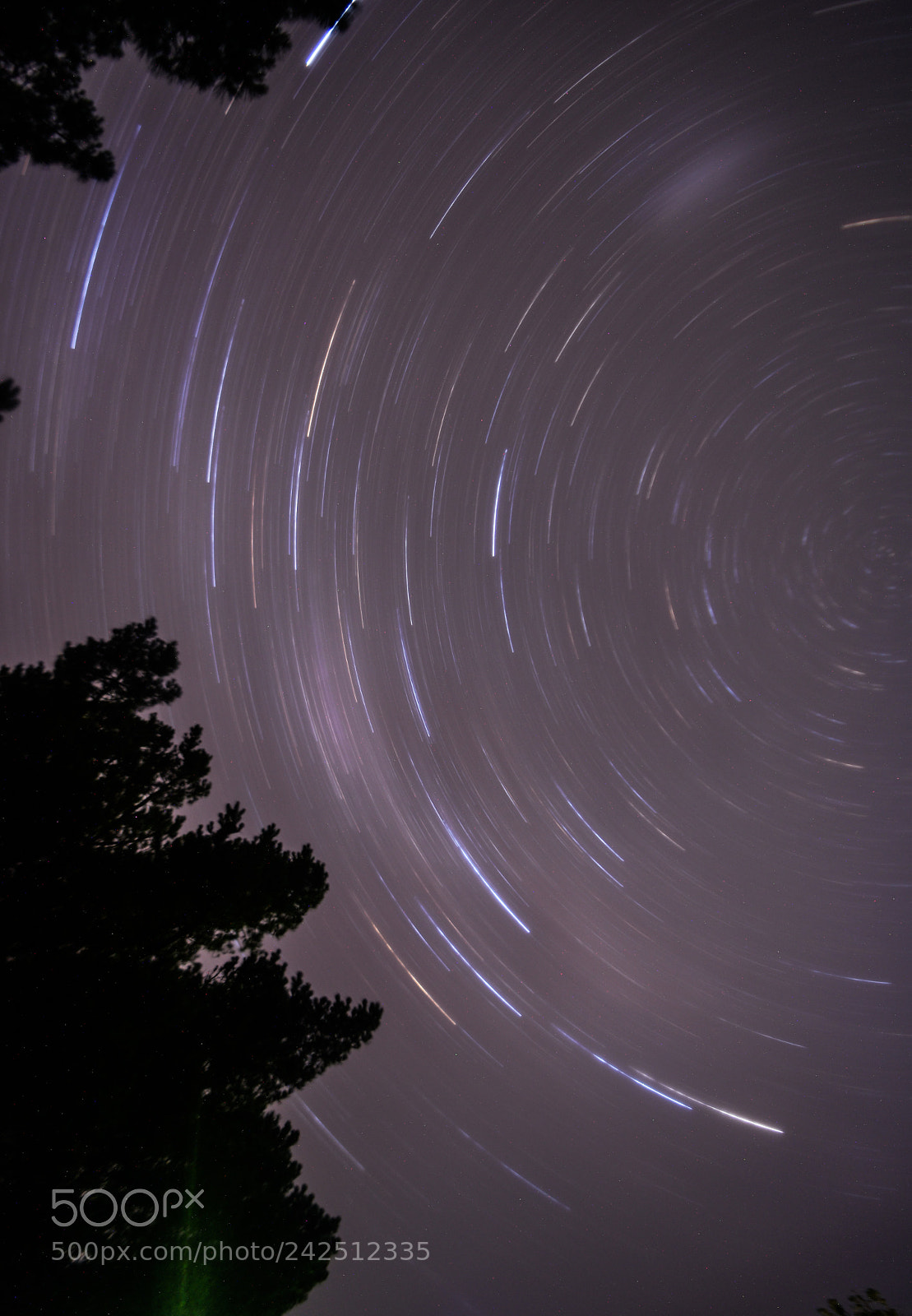 Nikon D5500 sample photo. Stars over oban photography