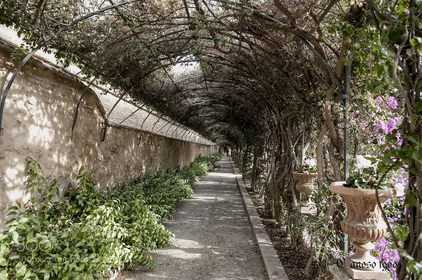 Nikon D700 sample photo. Rincon de invierno photography