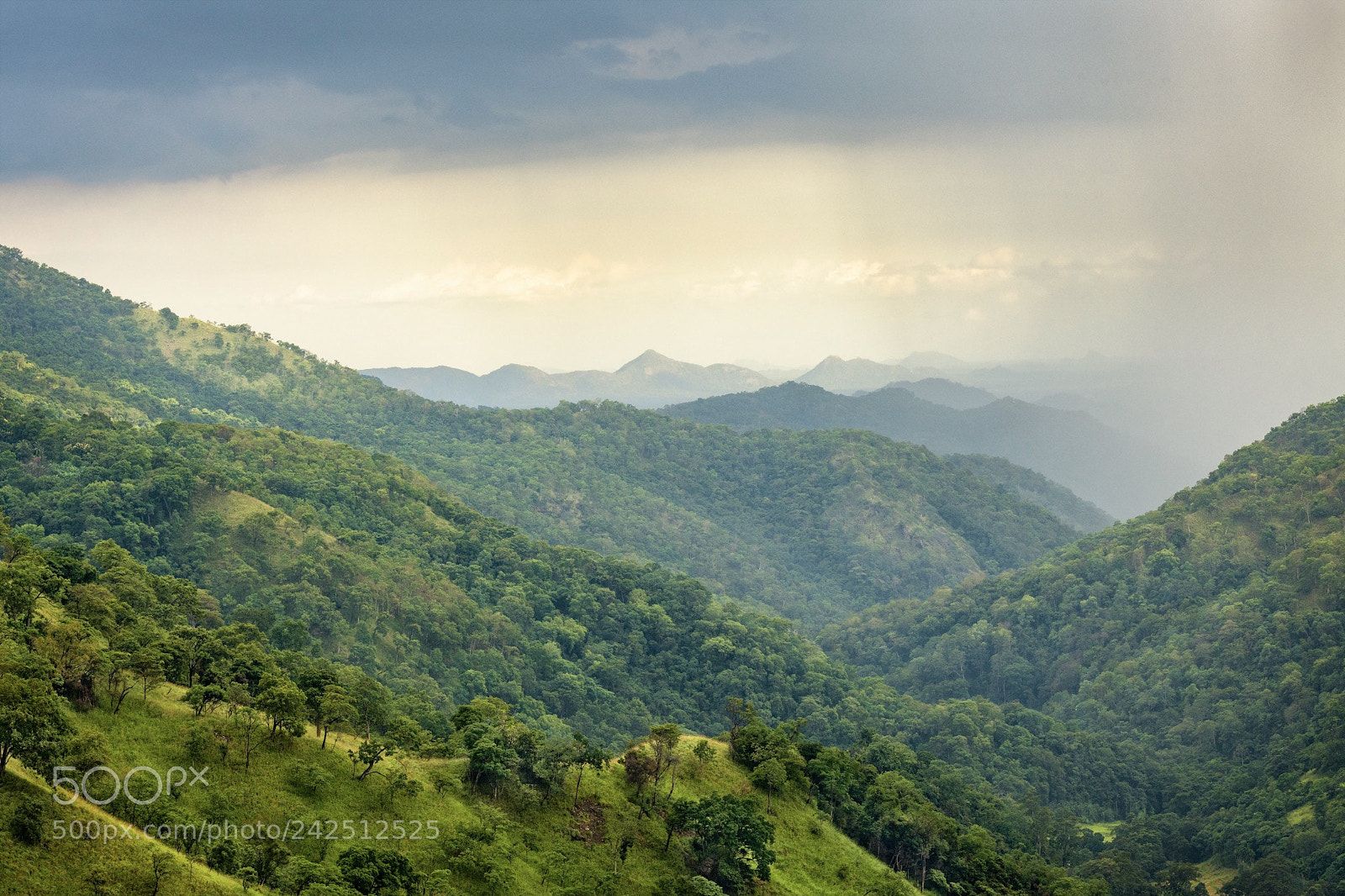 Nikon D850 sample photo. The green hills of photography