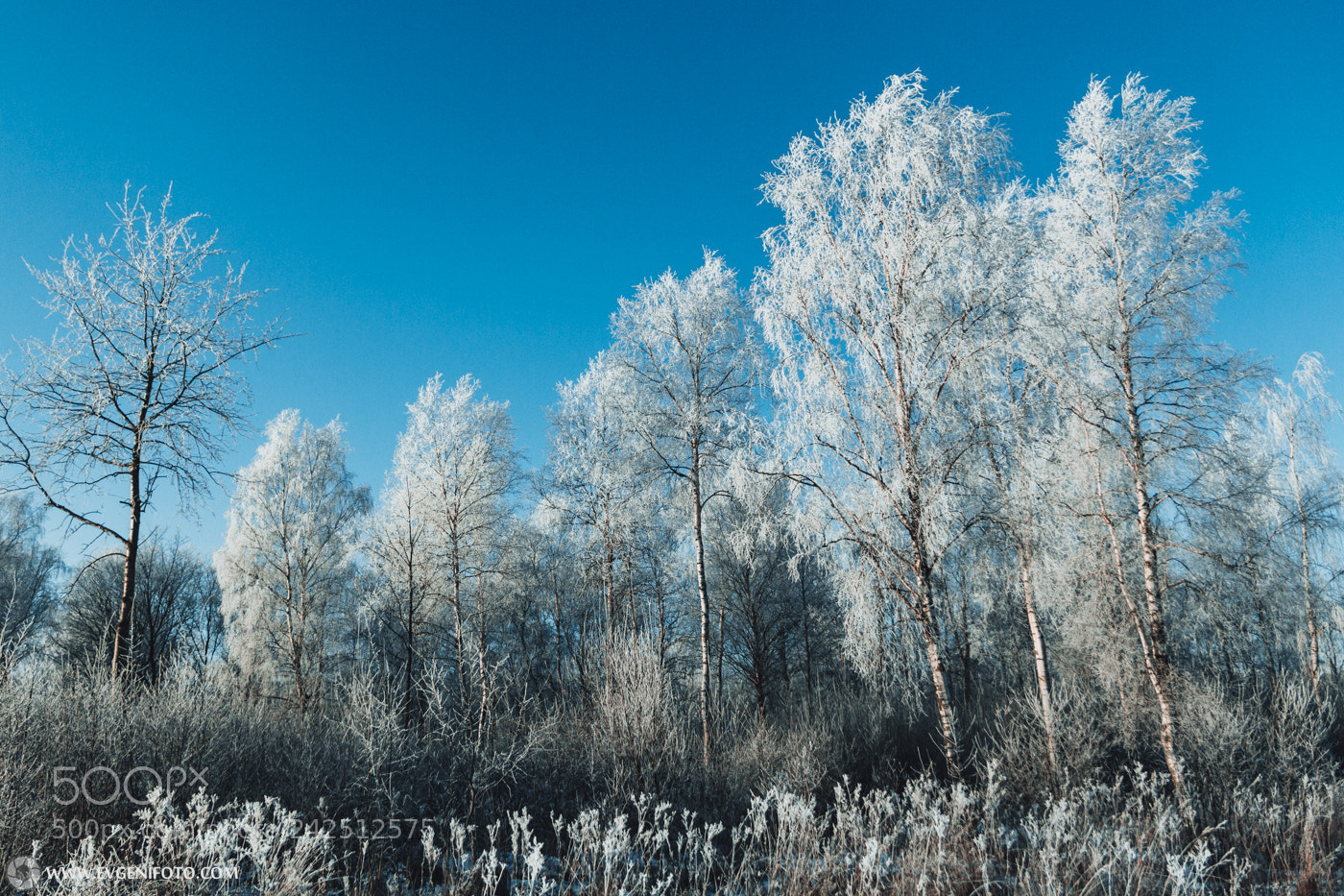 Canon EOS 60D sample photo. Untitled photography