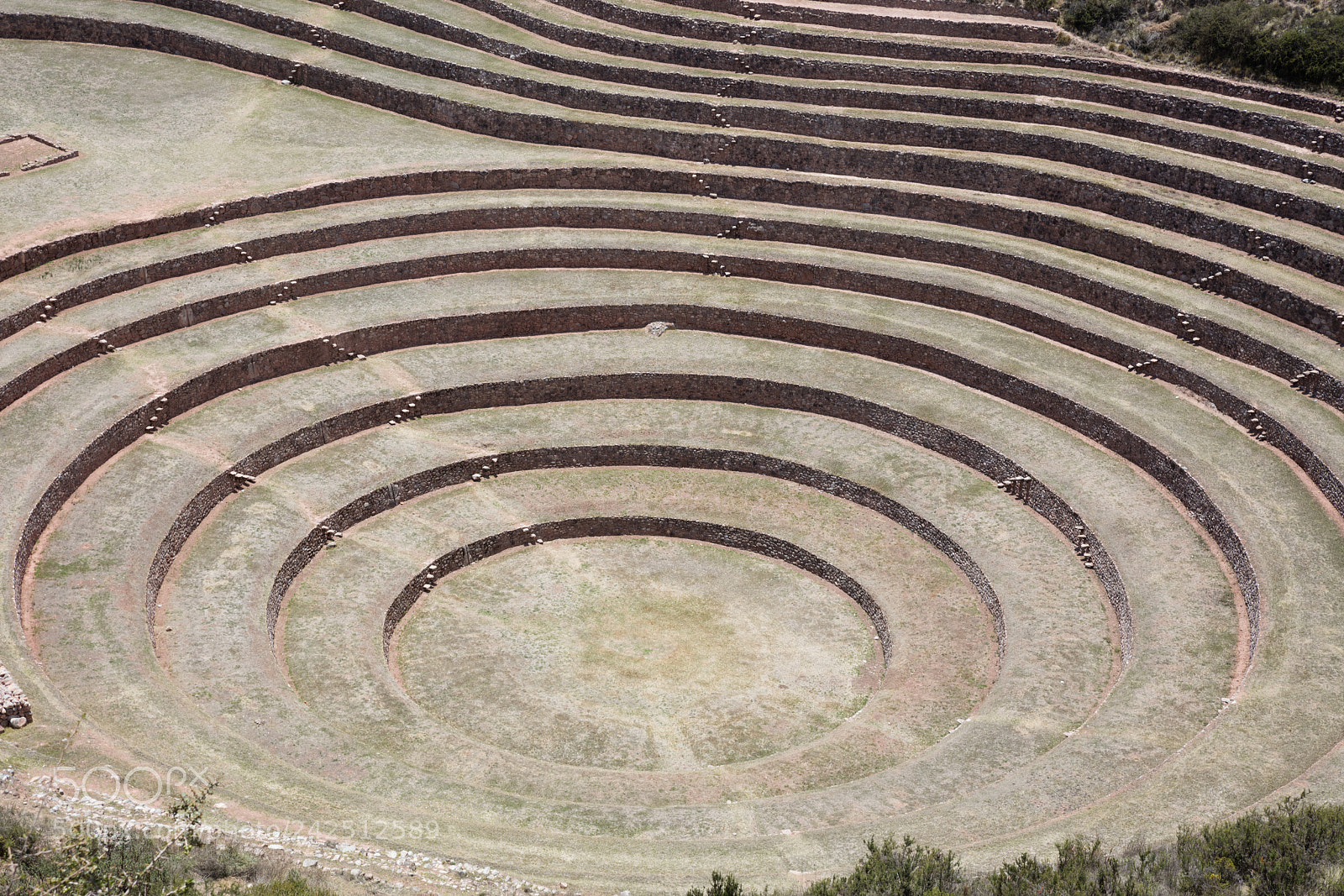 Canon EOS 5DS R sample photo. Circular terraces at moray photography