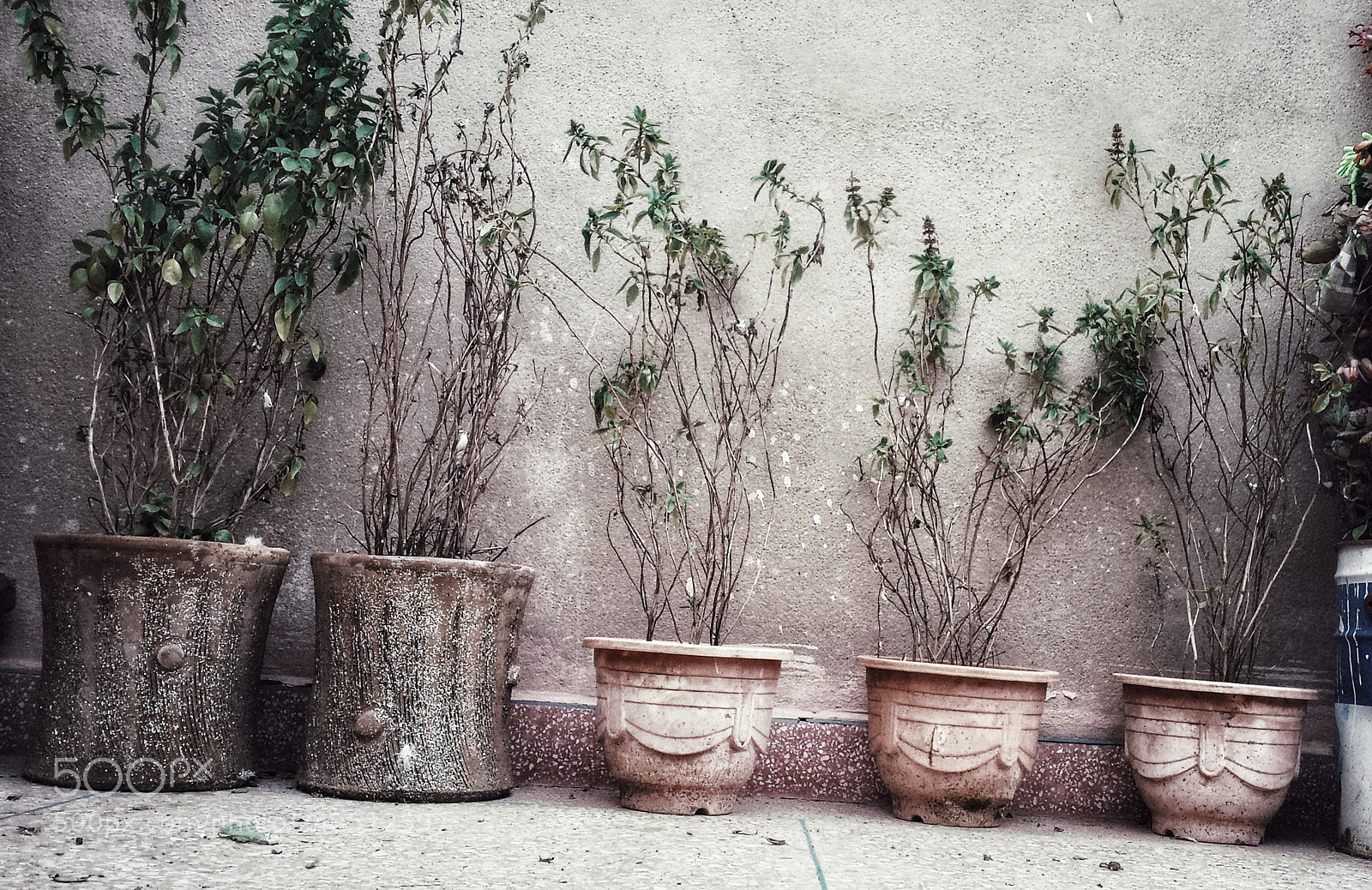Samsung Galaxy S4 sample photo. Untitled photography