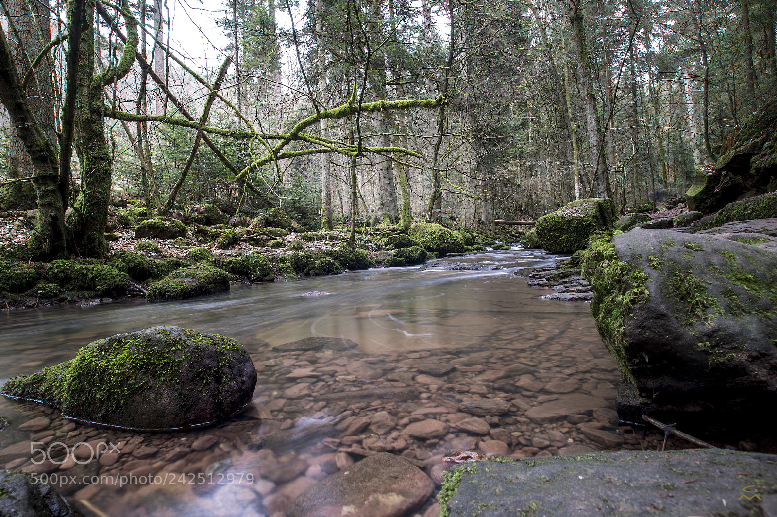 Nikon D4 sample photo. Monbach canyon photography