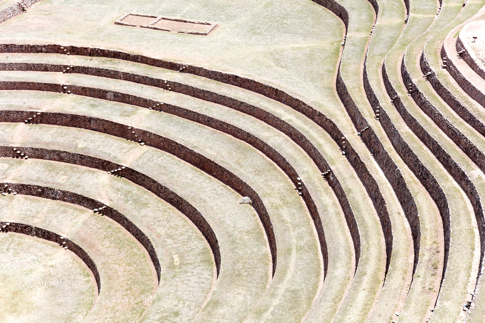 Canon EOS 5DS R sample photo. Circular terraces at moray photography