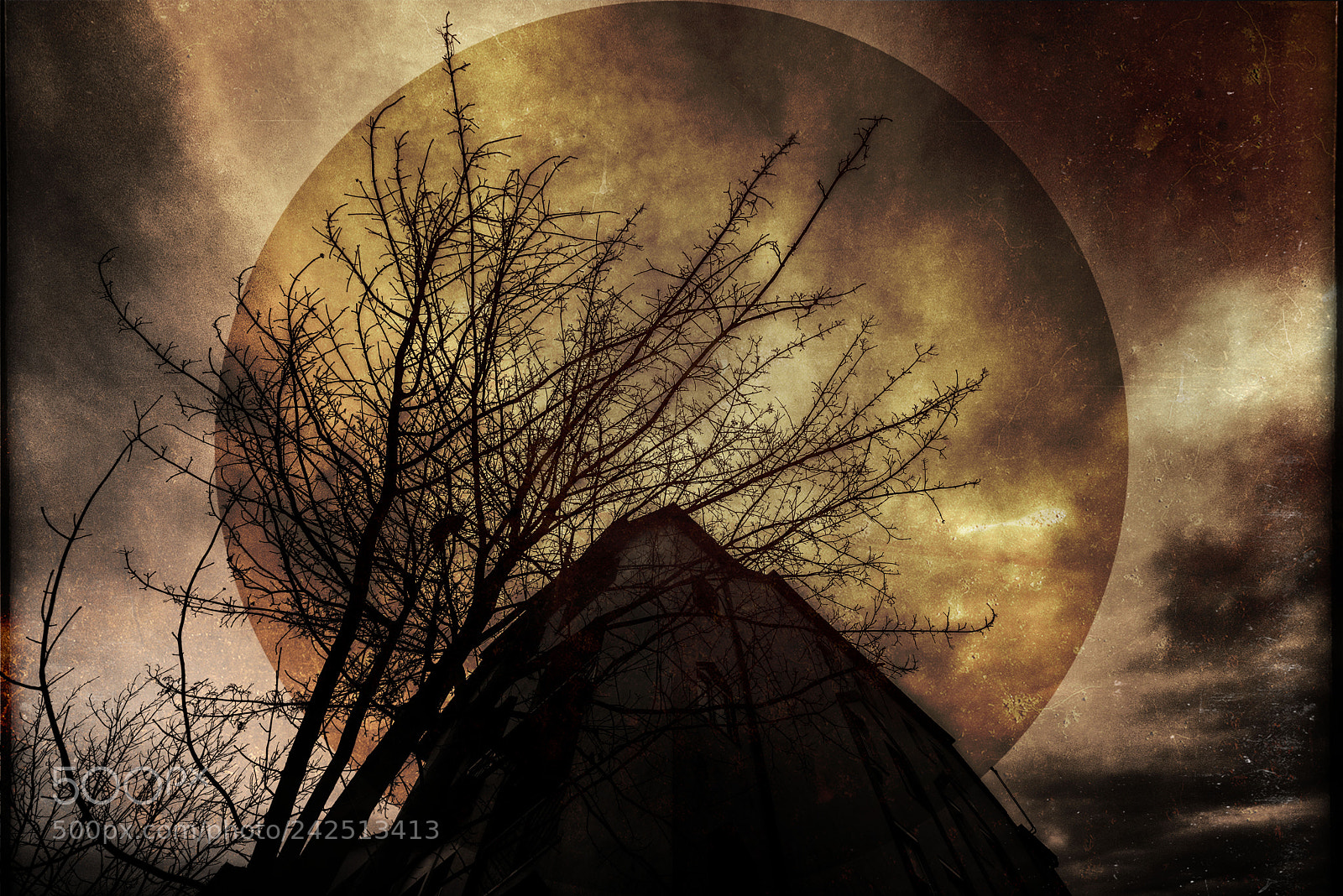 Nikon D810 sample photo. Untitled photography