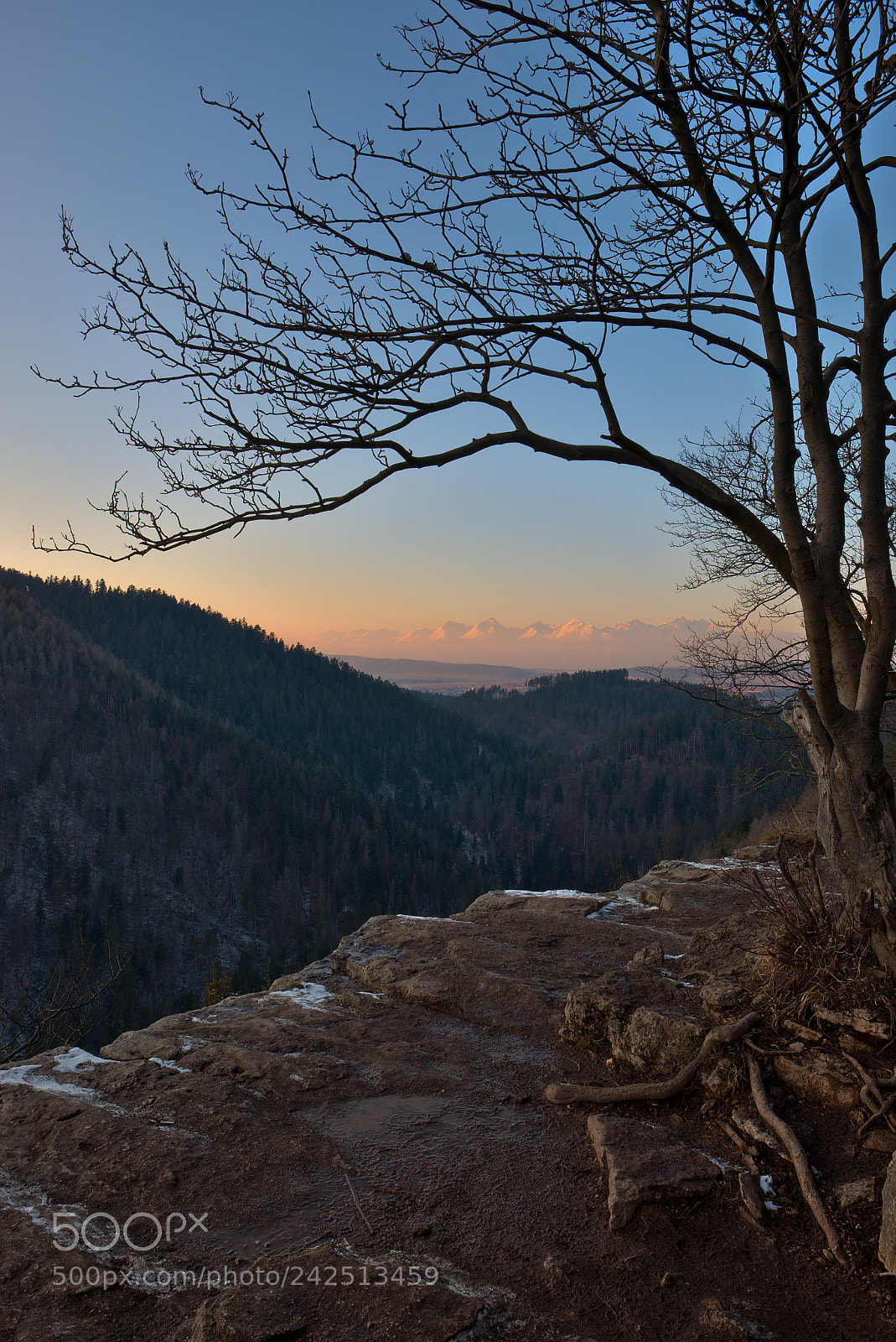 Fujifilm X-T10 sample photo. Tom ovsky v h photography