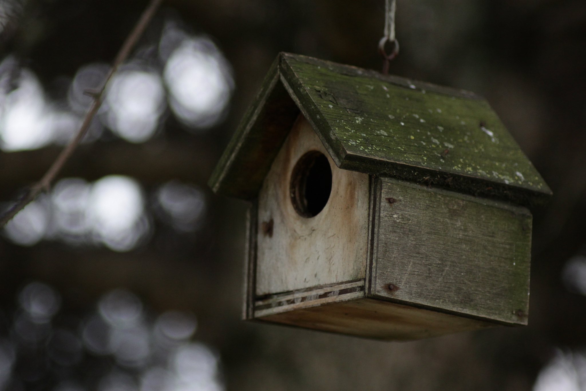 Canon EOS 50D sample photo