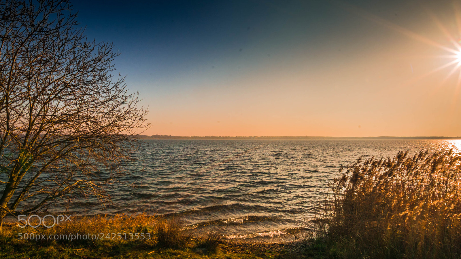 Sony ILCA-77M2 sample photo. Winter beach photography
