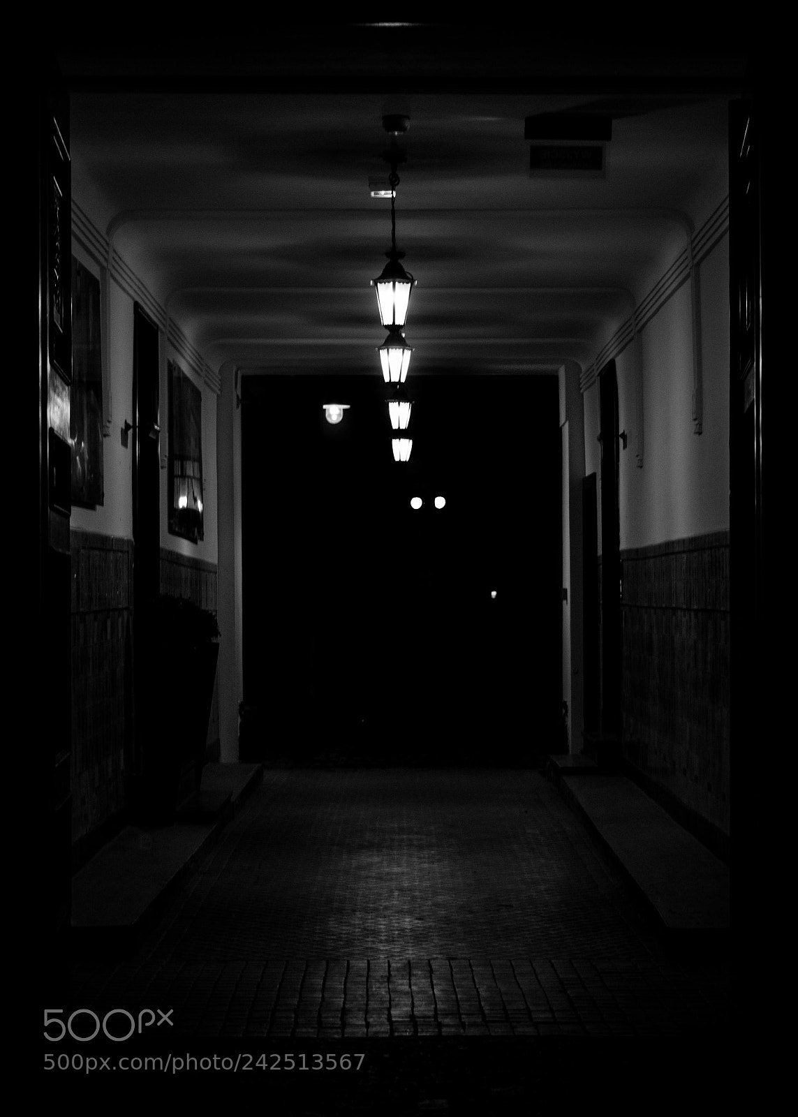 Canon EOS 750D (EOS Rebel T6i / EOS Kiss X8i) sample photo. Into the shadows photography