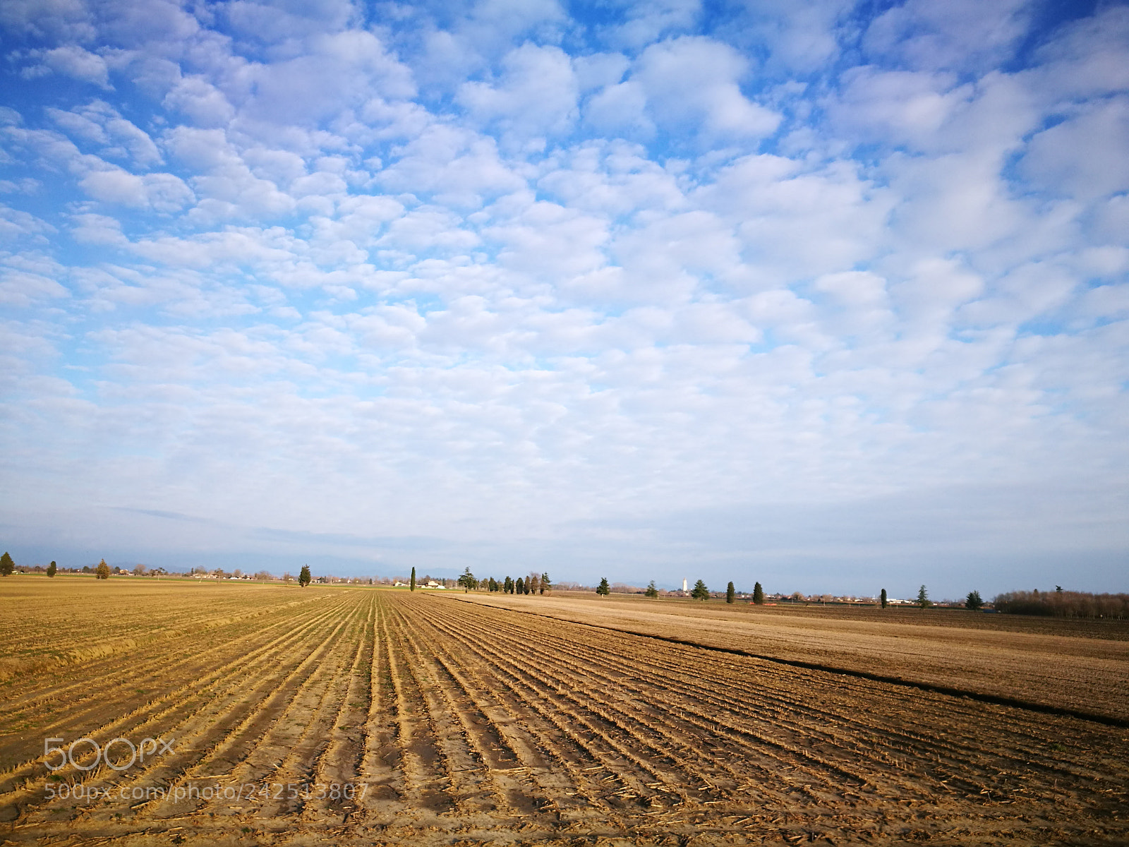 HUAWEI P9 sample photo. Out in the fields photography