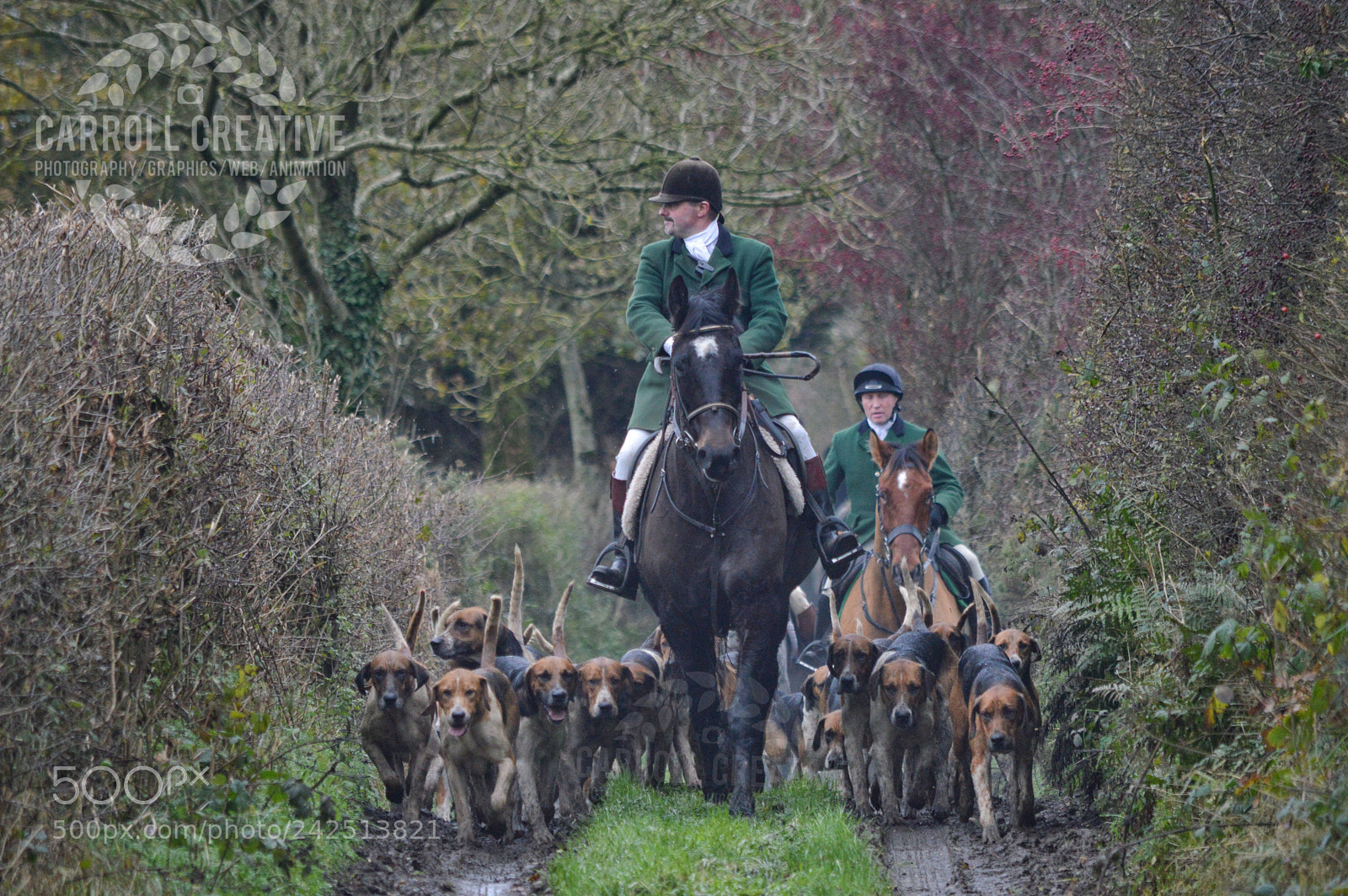 Nikon D3200 sample photo. Horse & hounds photography
