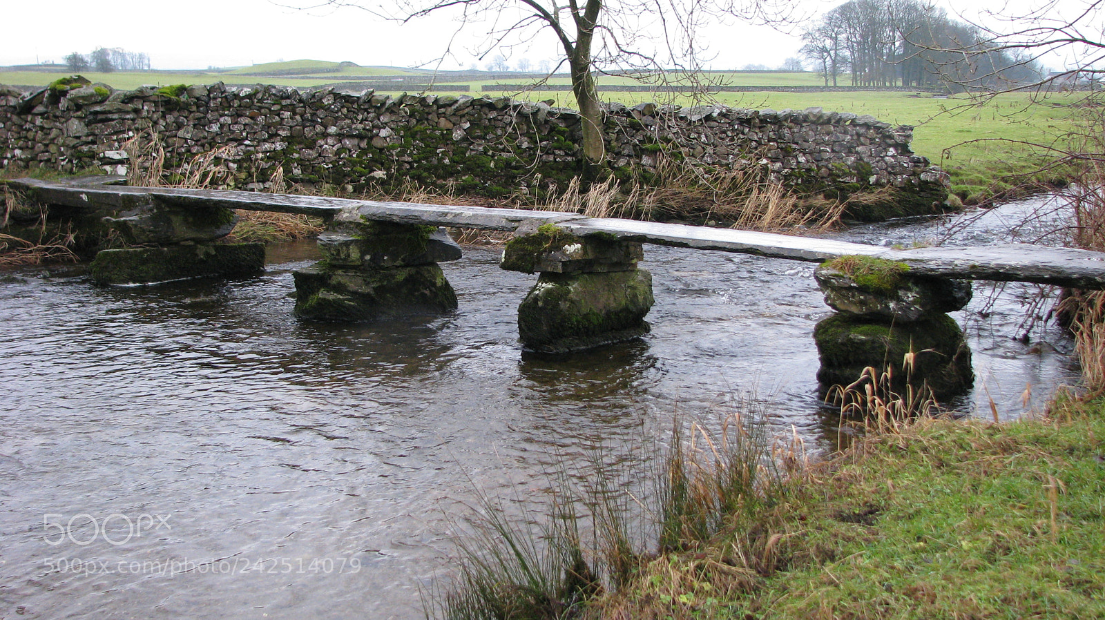 Canon POWERSHOT S5 IS sample photo. Stone bridge photography