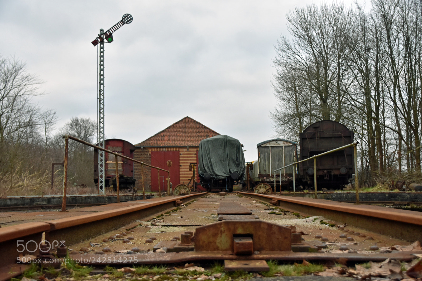 Nikon D3400 sample photo. Hiding the past.... photography