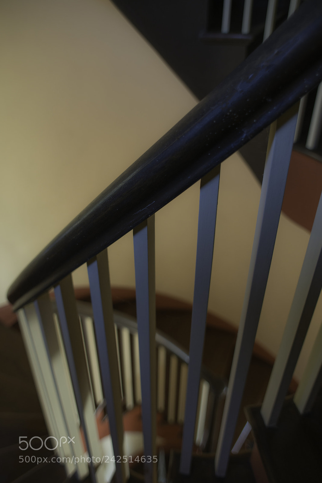 Nikon D800E sample photo. Journey photography