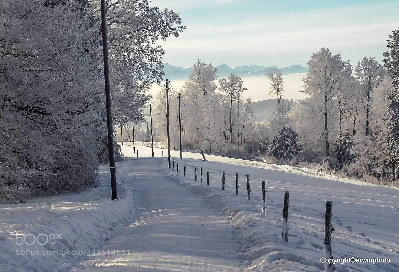 Nikon D5000 sample photo. Winterstrasse photography