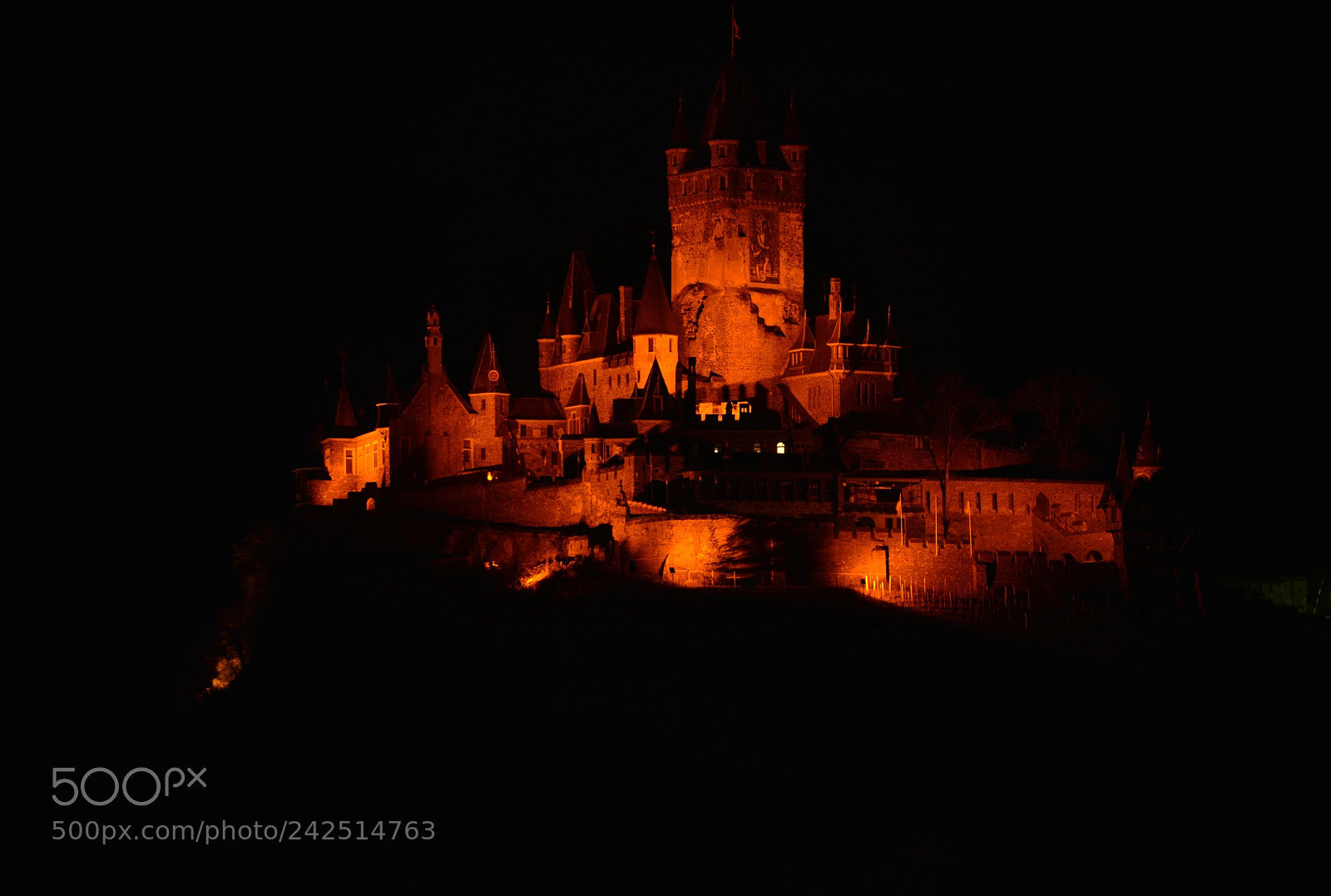 Nikon D800 sample photo. The shining castle photography