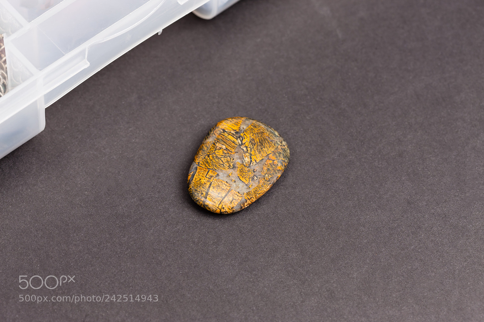 Canon EOS-1Ds Mark III sample photo. Oddly colored flat button photography