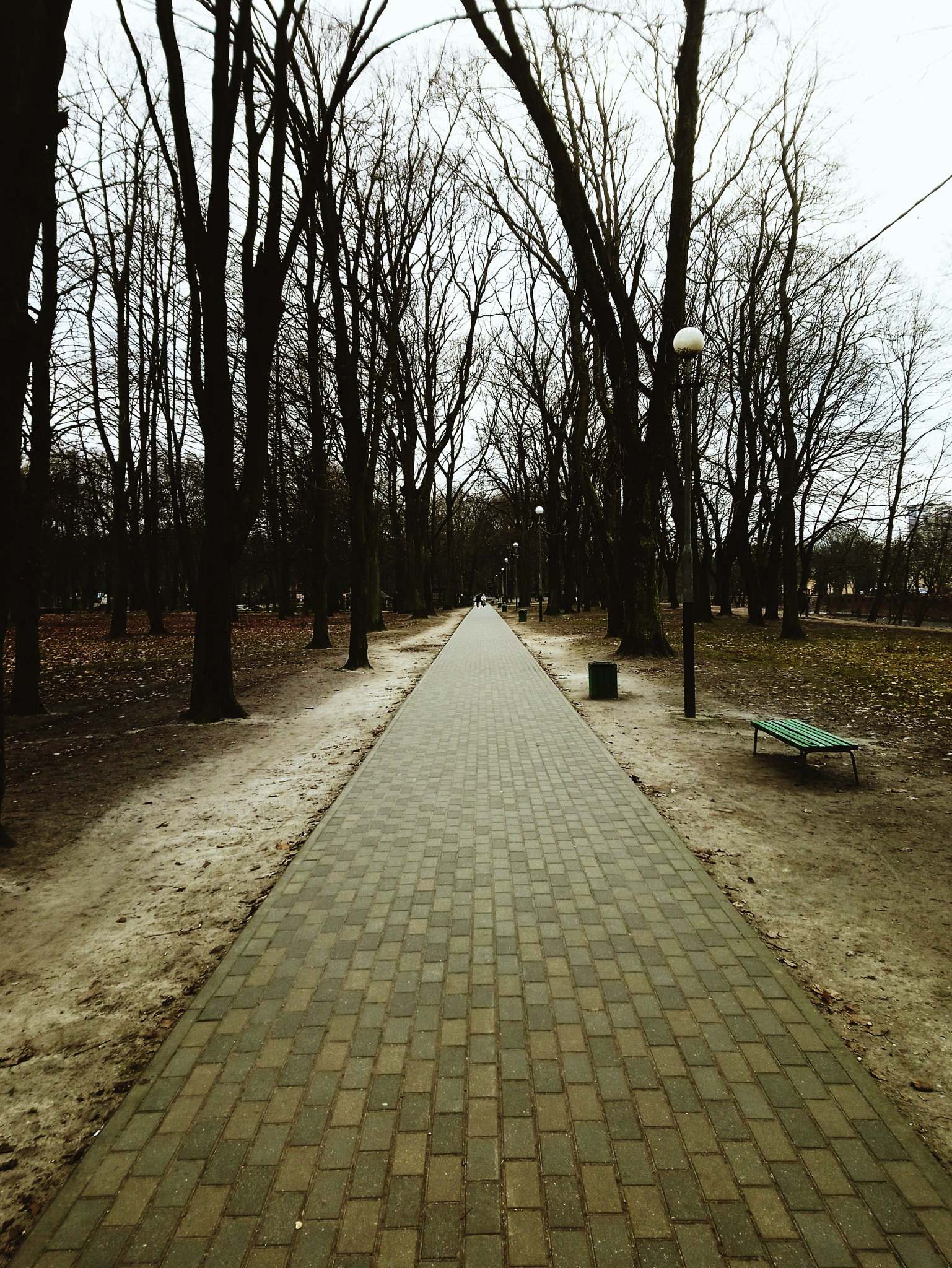 Sony Xperia XA1 Plus sample photo