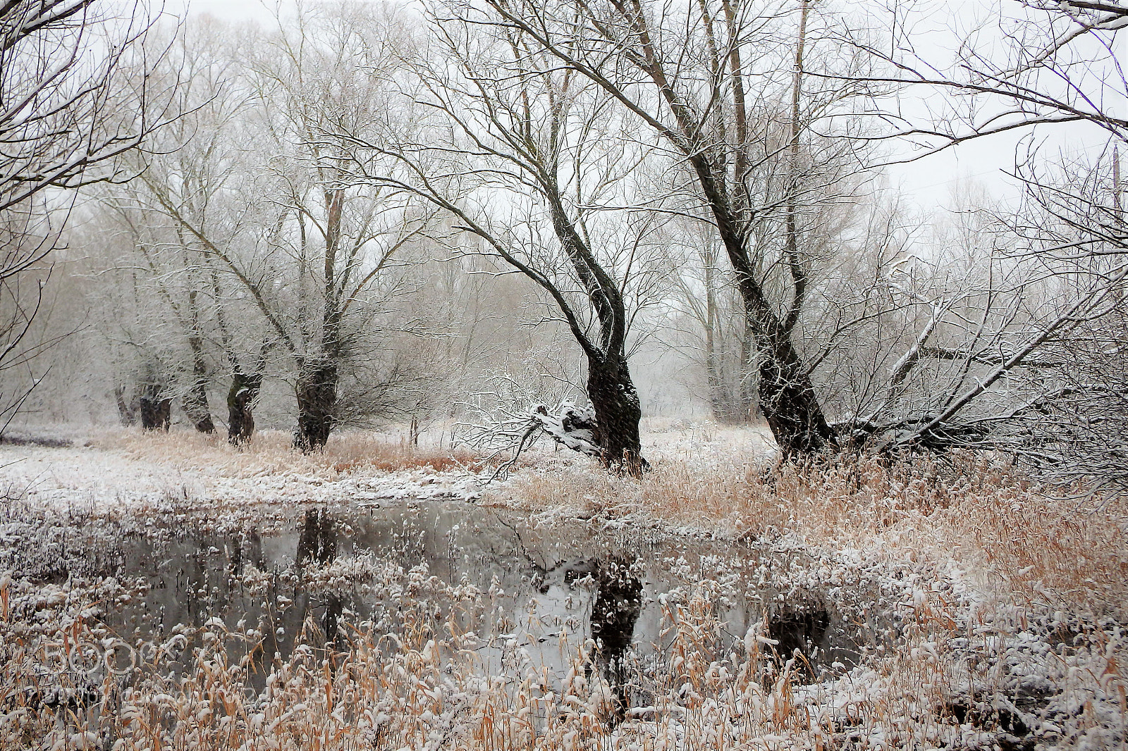 Olympus SP-100EE sample photo. Flood & winter photography