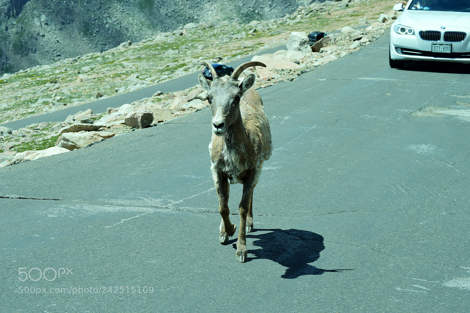 Nikon D3200 sample photo. Mt evans photography