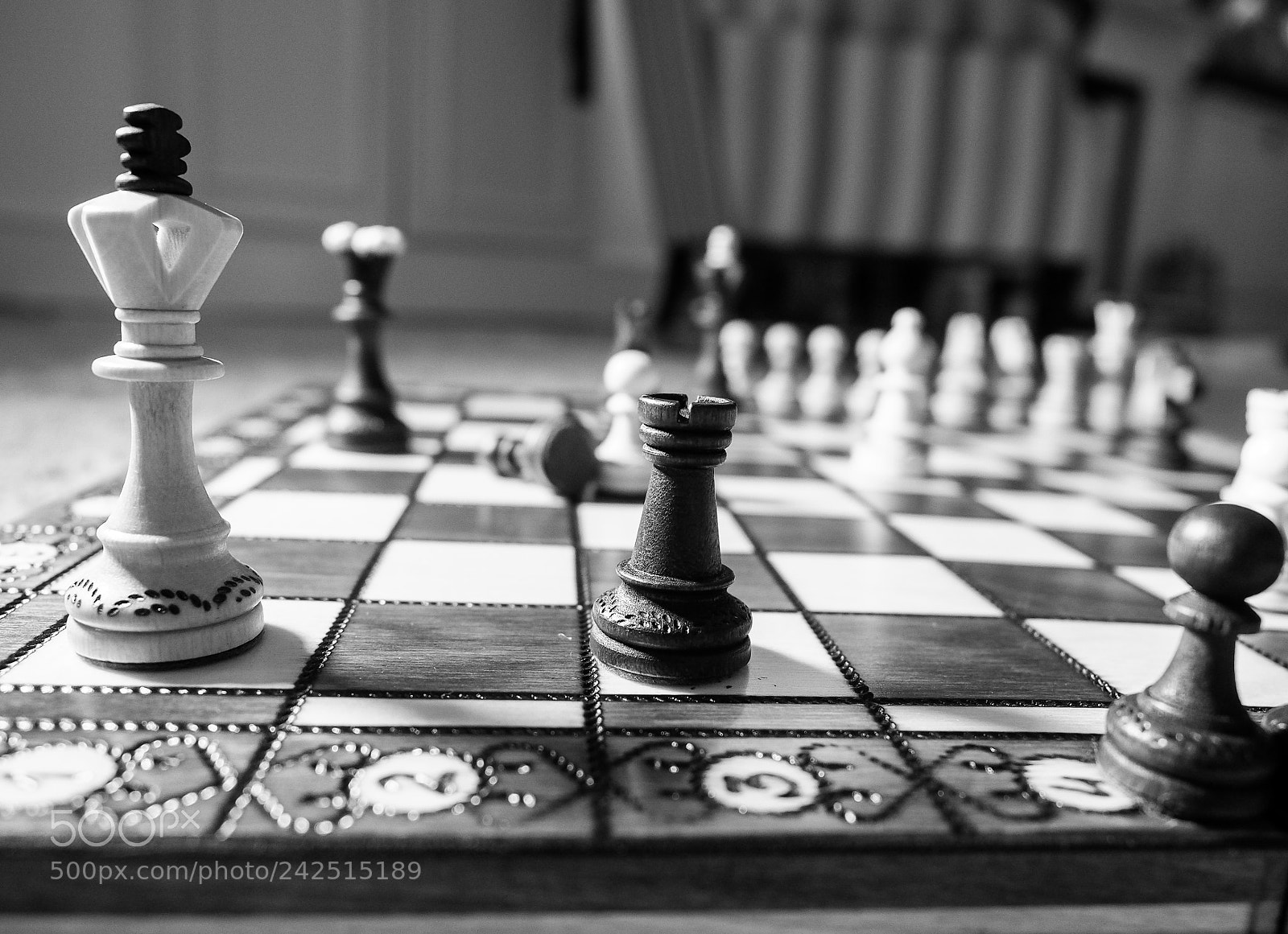 Olympus OM-D E-M5 II sample photo. Queen and the castle photography